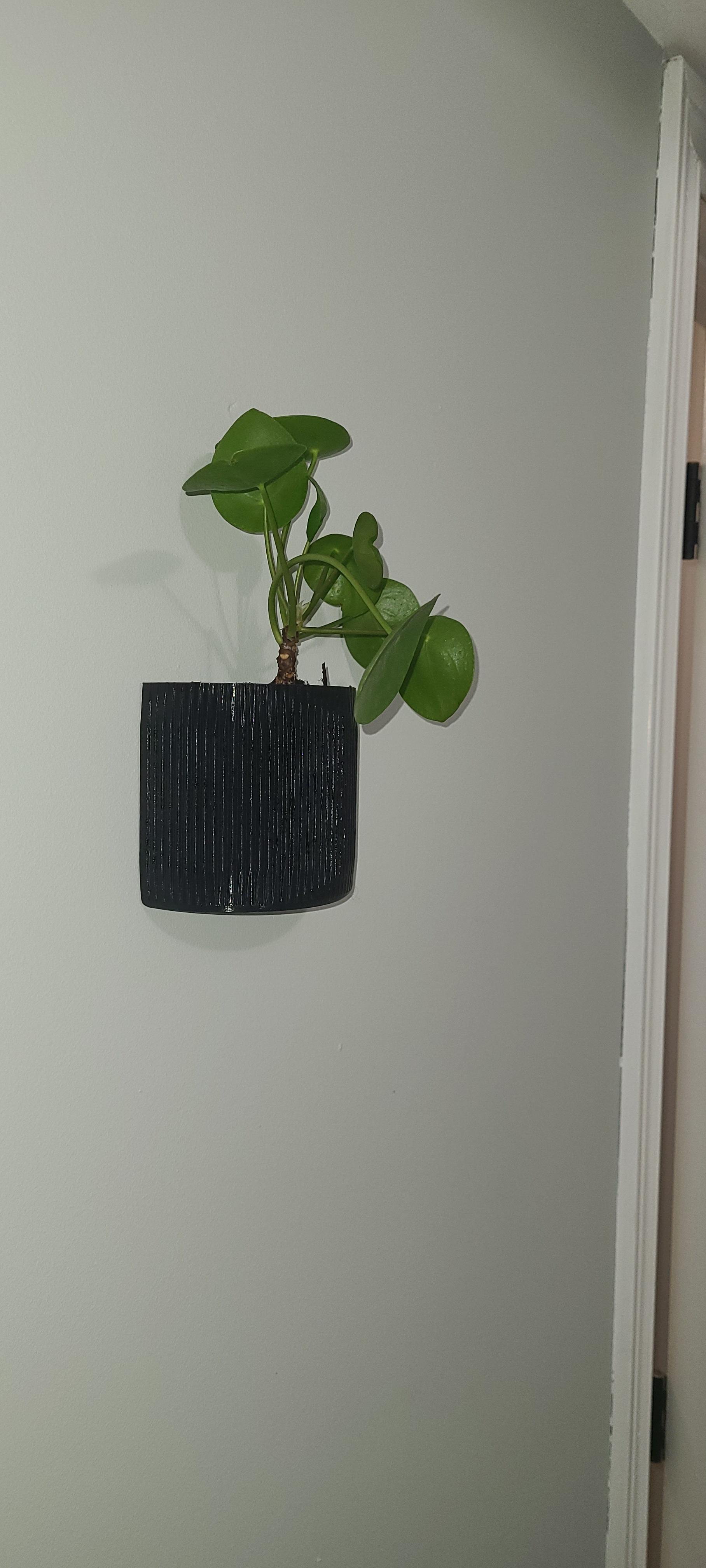 Wall Mounted Planter Fluted Half Moon 3d model