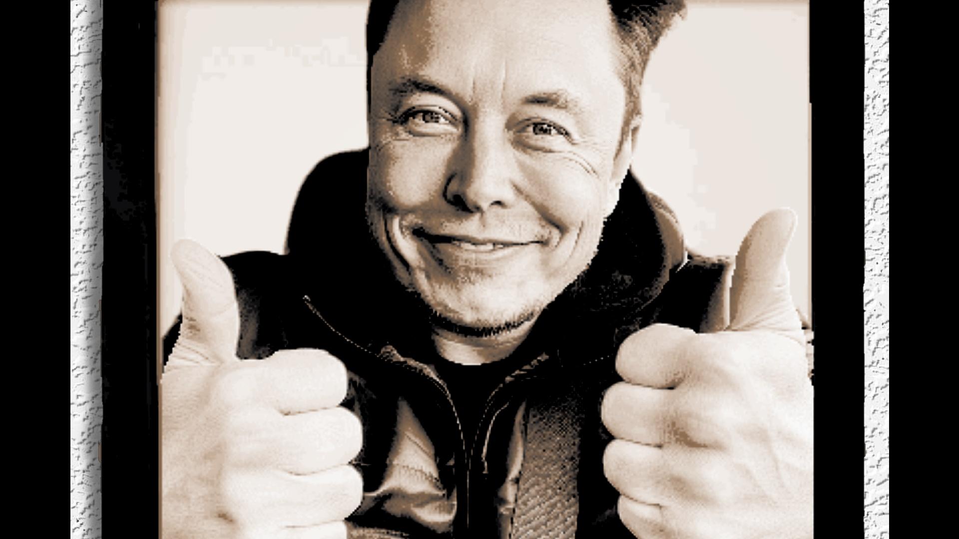 The Amazing Elon Musk in Hue Forge Art 3d model