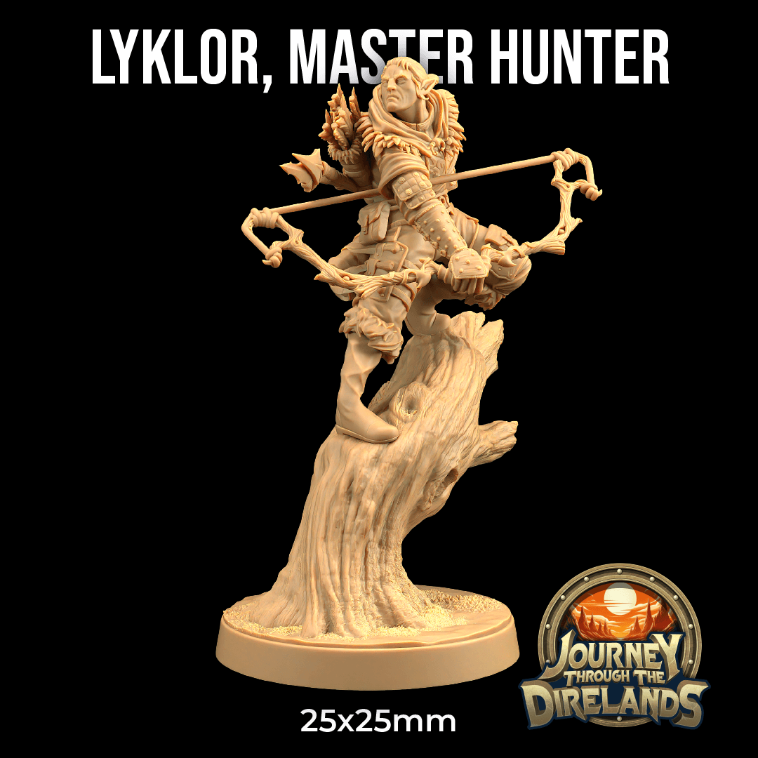 Lyklor, Master Hunter 3d model