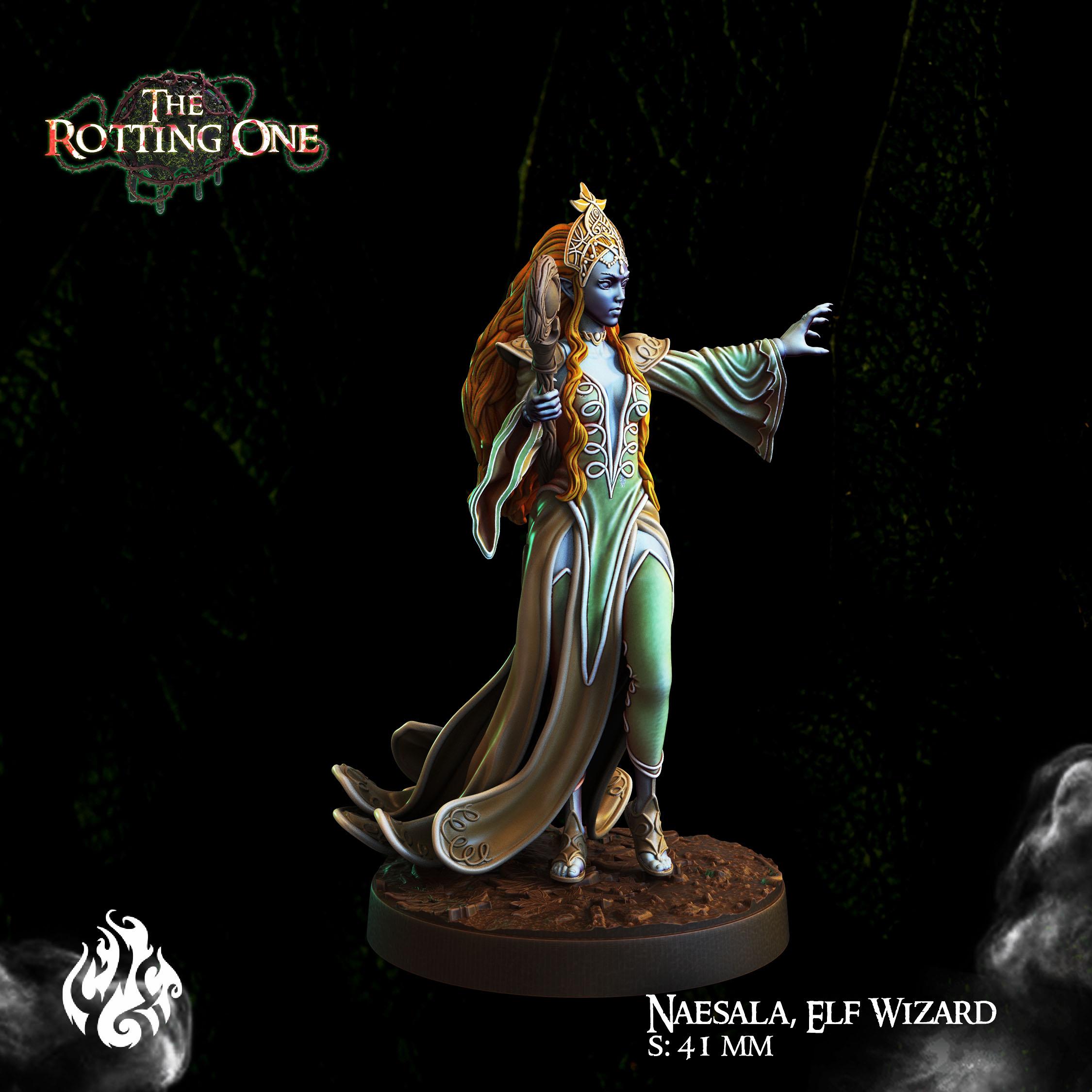 Naesala, Elf Wizard 3d model
