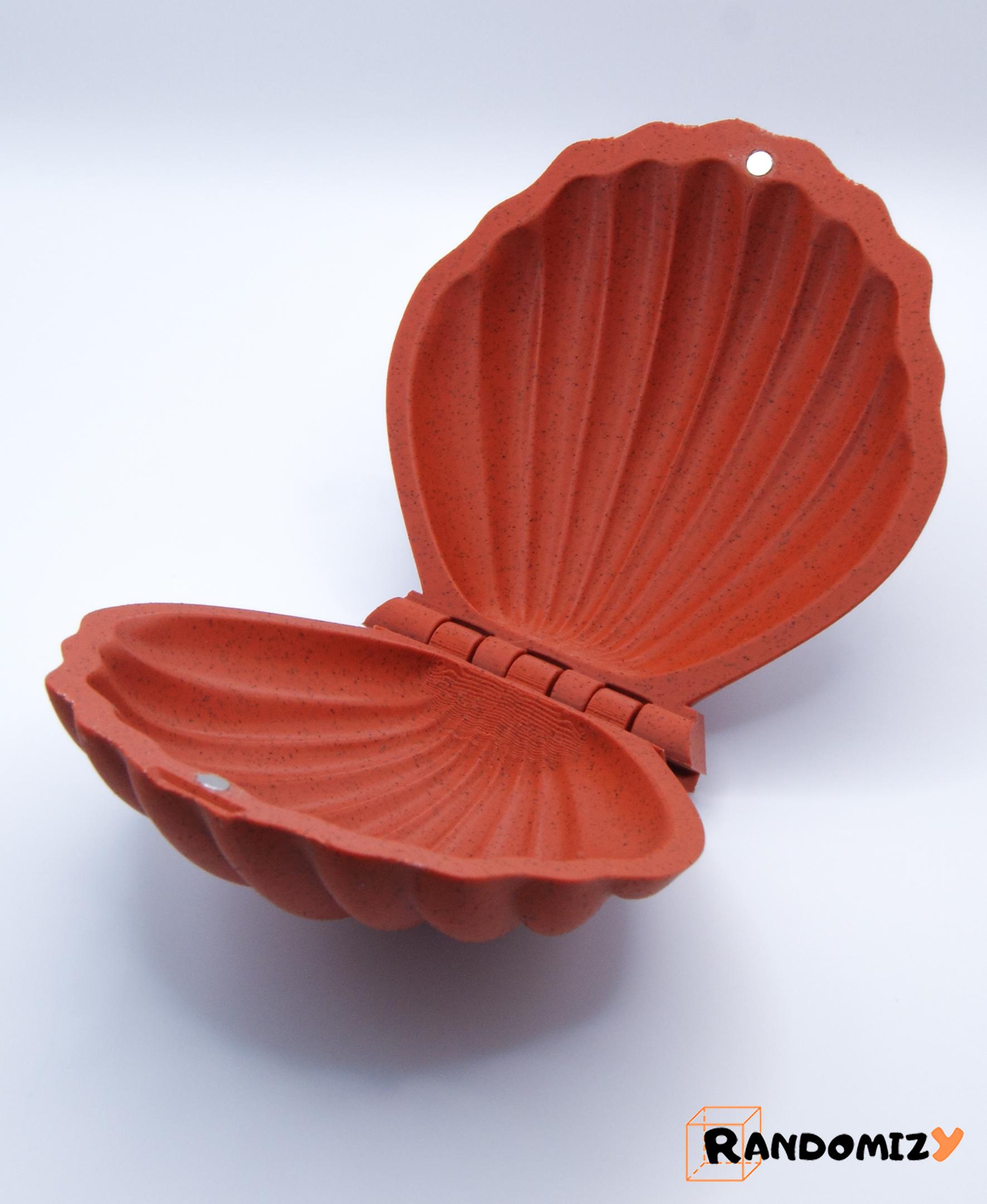 Seashell Shaped Box (Magnets) 3d model