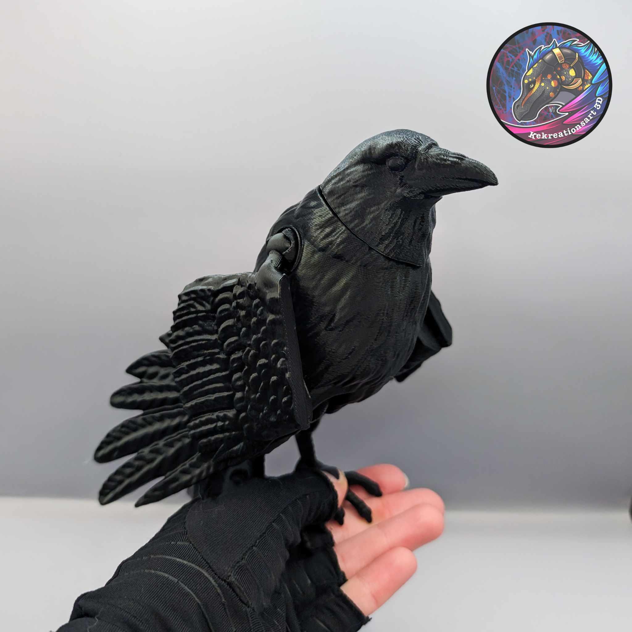 Flexi Raven 3d model