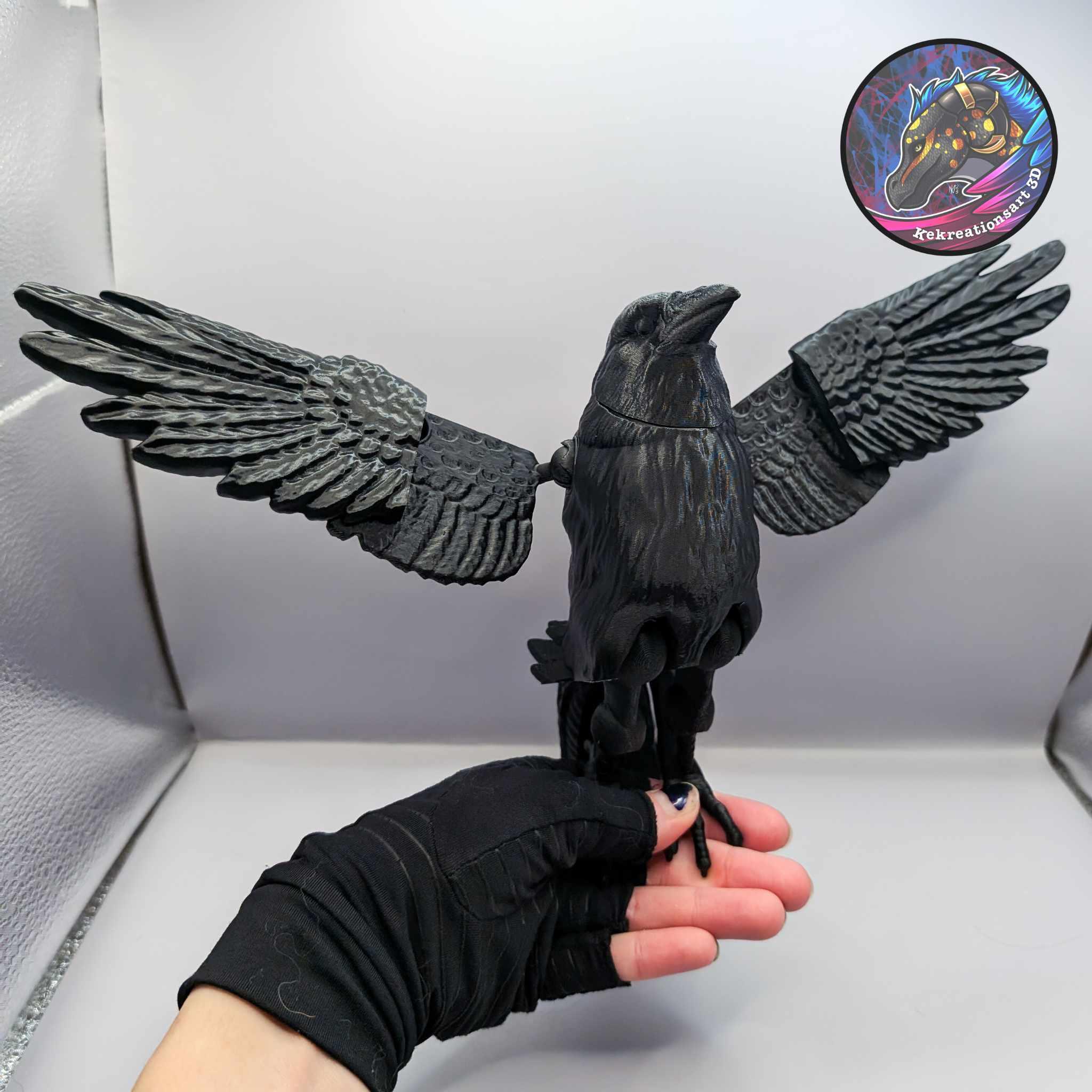 Flexi Raven 3d model