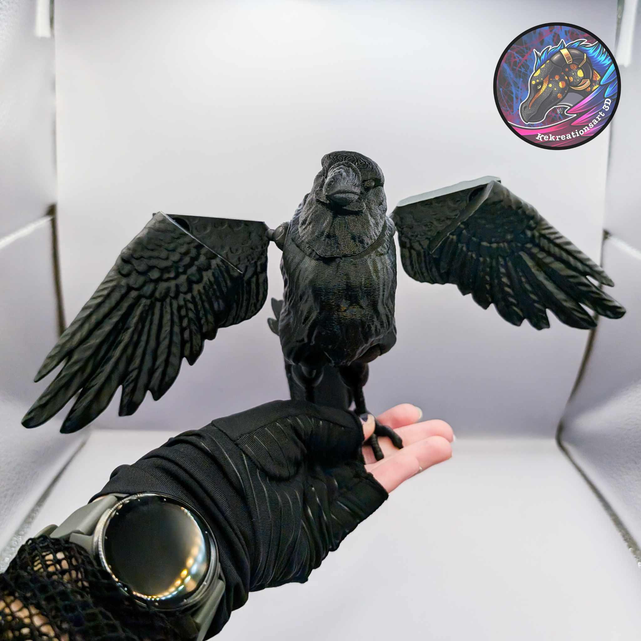 Flexi Raven 3d model