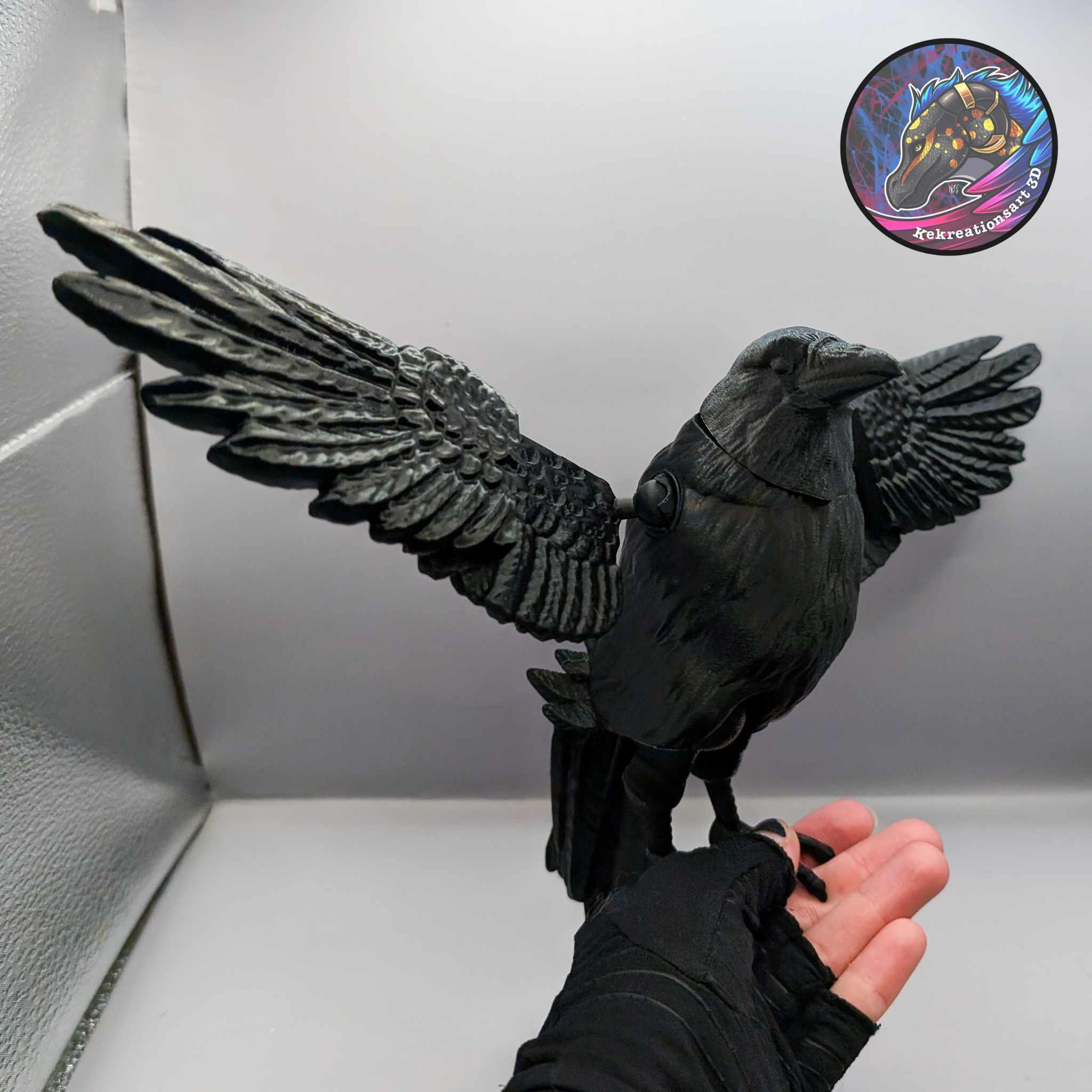 Flexi Raven 3d model