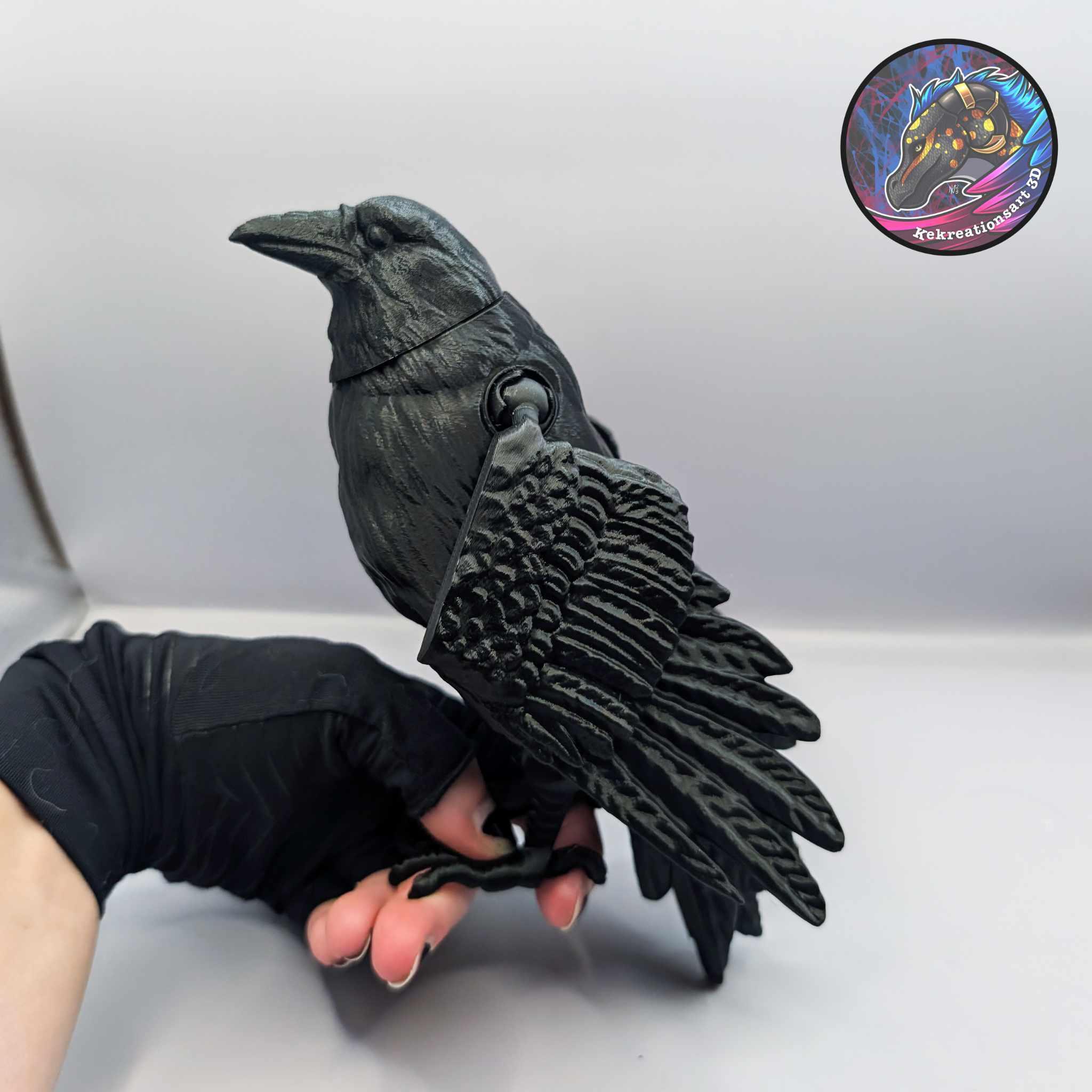 Flexi Raven 3d model