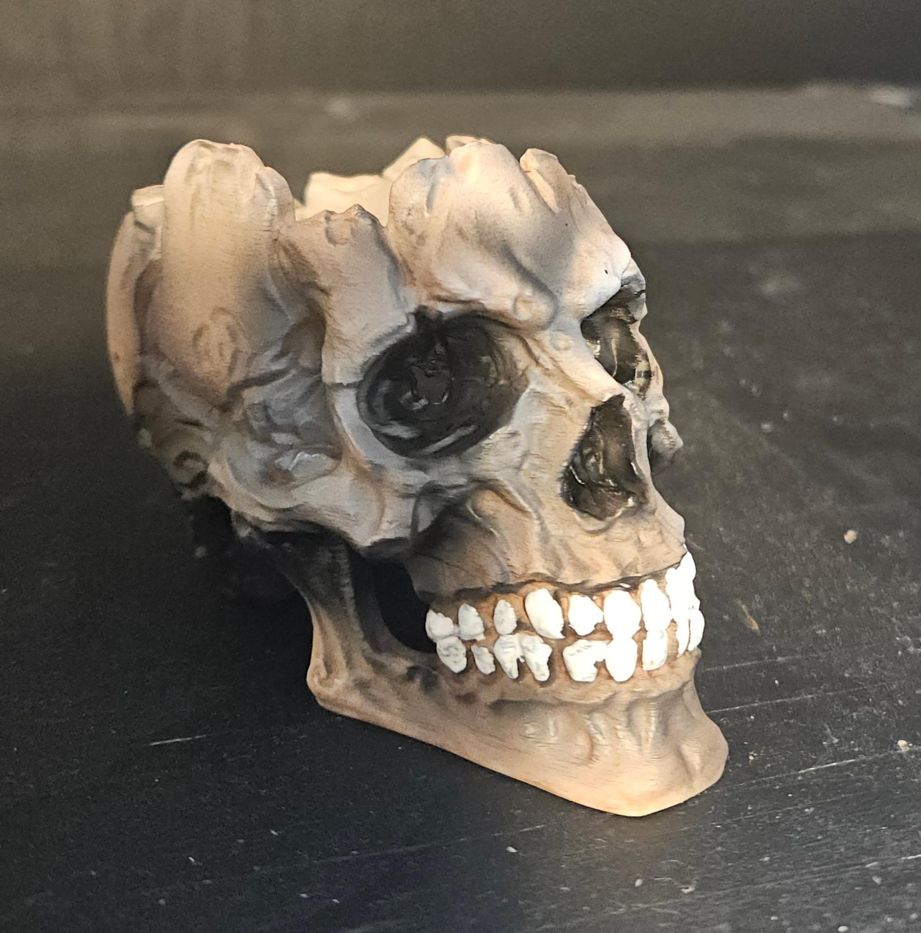 Hollow Skull  3d model