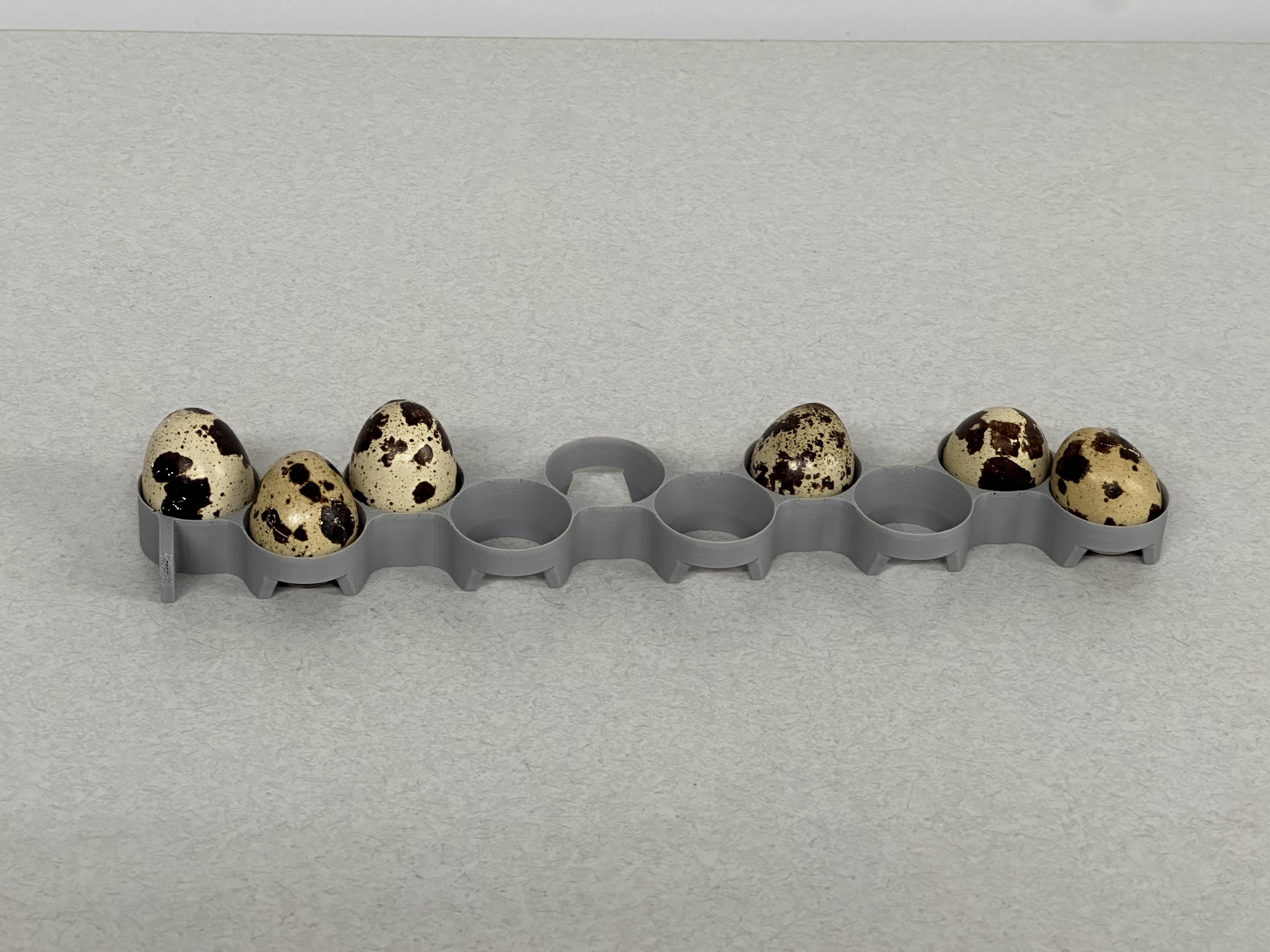 Maricoopx Incubator Jumbo Quail Egg Tray 3d model