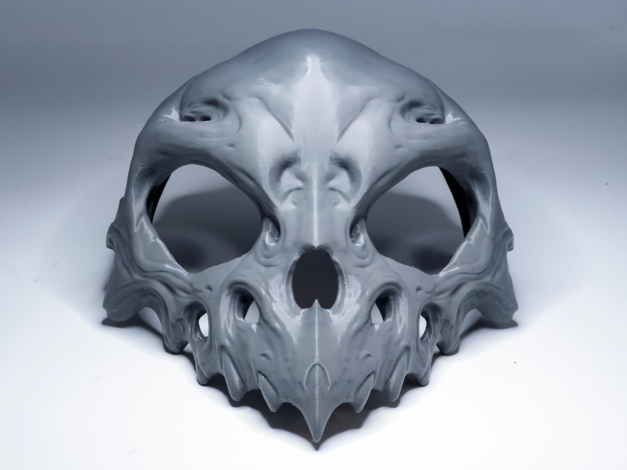 Skull Bird Bone Halloween  Scary Mask 3d model