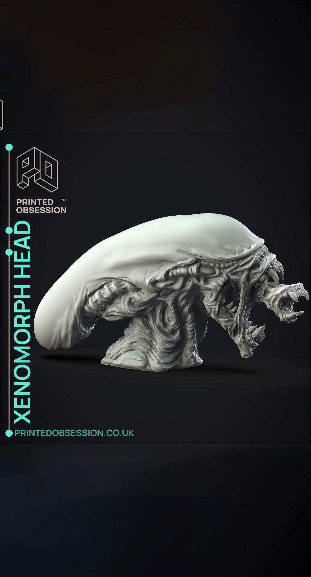 Xenomorph Head - Fan Art - Decoration 3d model