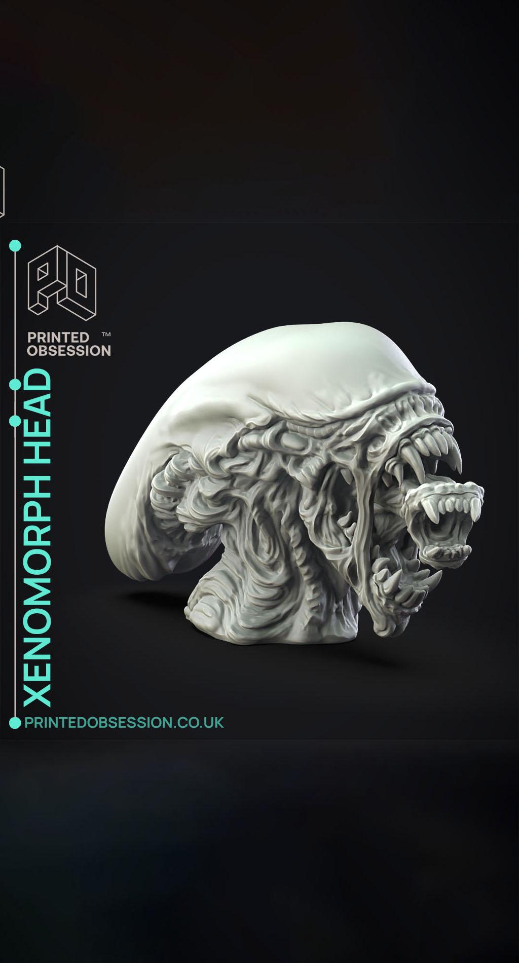 Xenomorph Head - Fan Art - Decoration 3d model