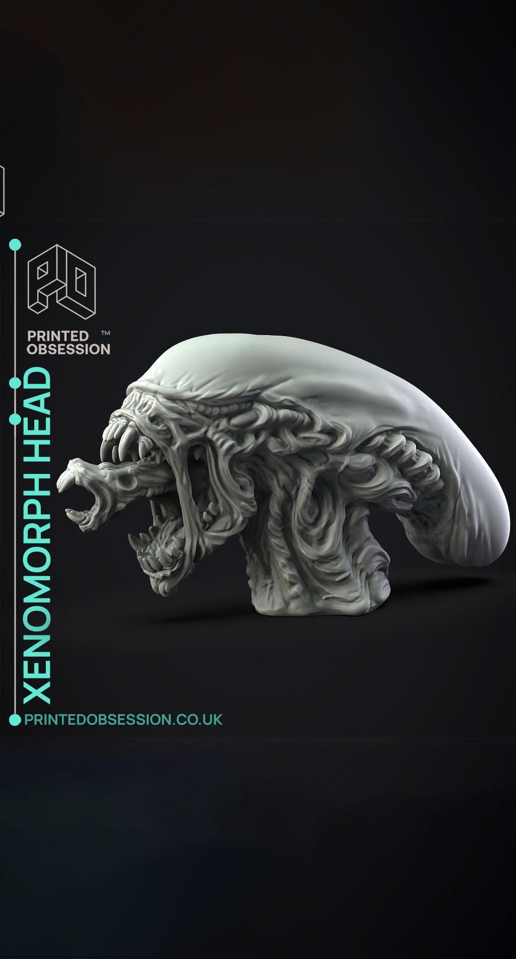 Xenomorph Head - Fan Art - Decoration 3d model