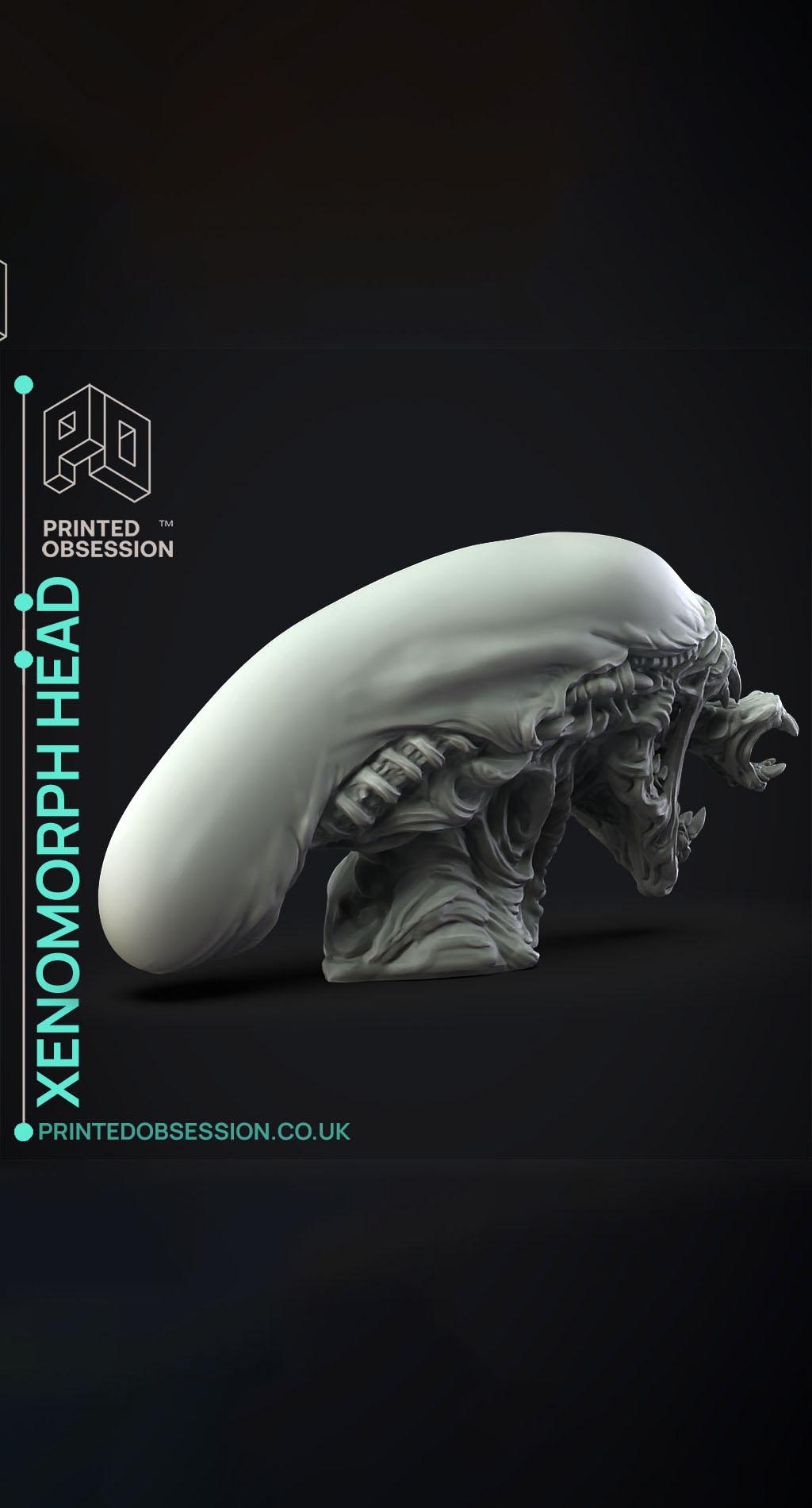 Xenomorph Head - Fan Art - Decoration 3d model