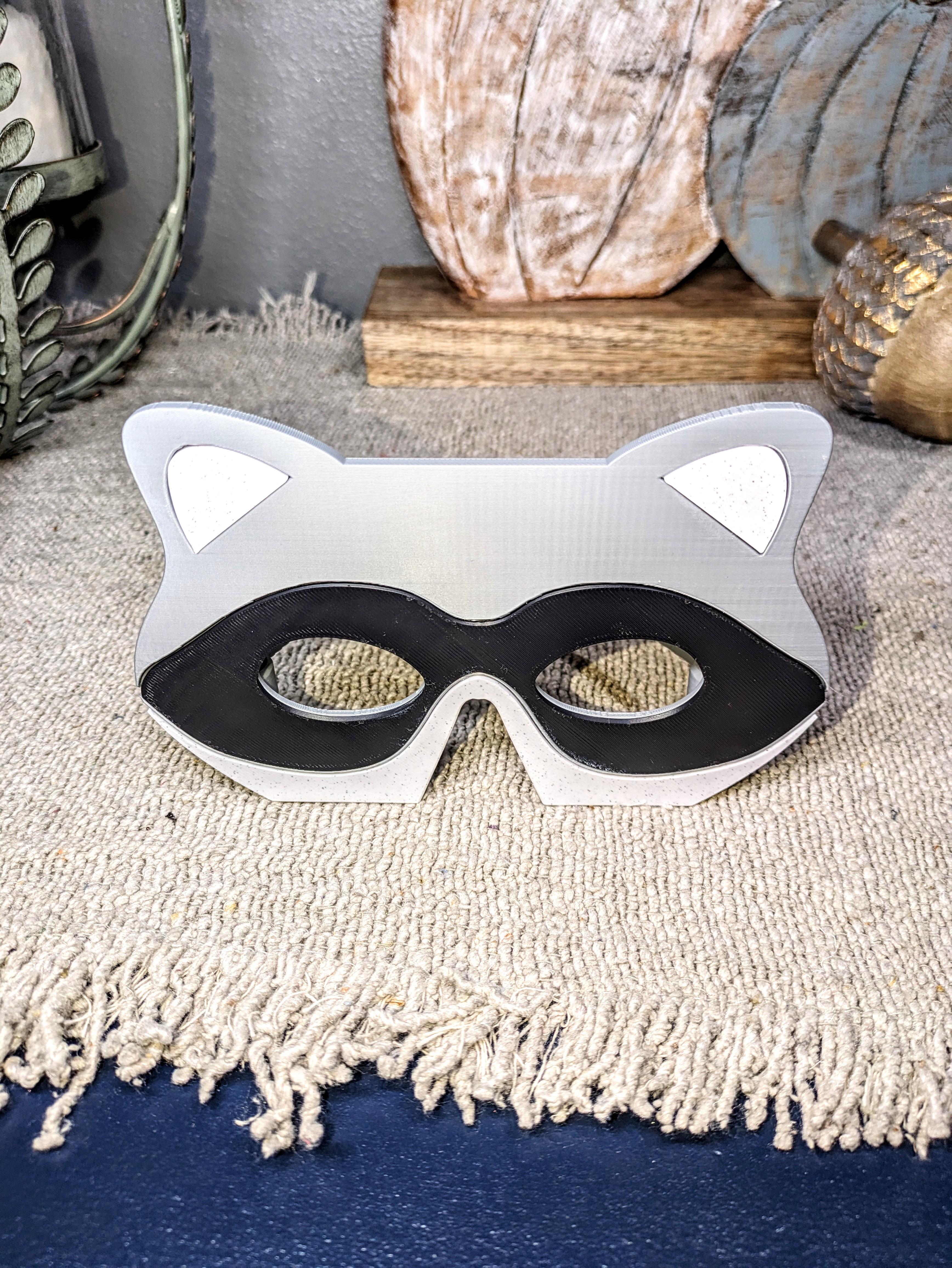 Raccoon Glasses/Mask 3d model