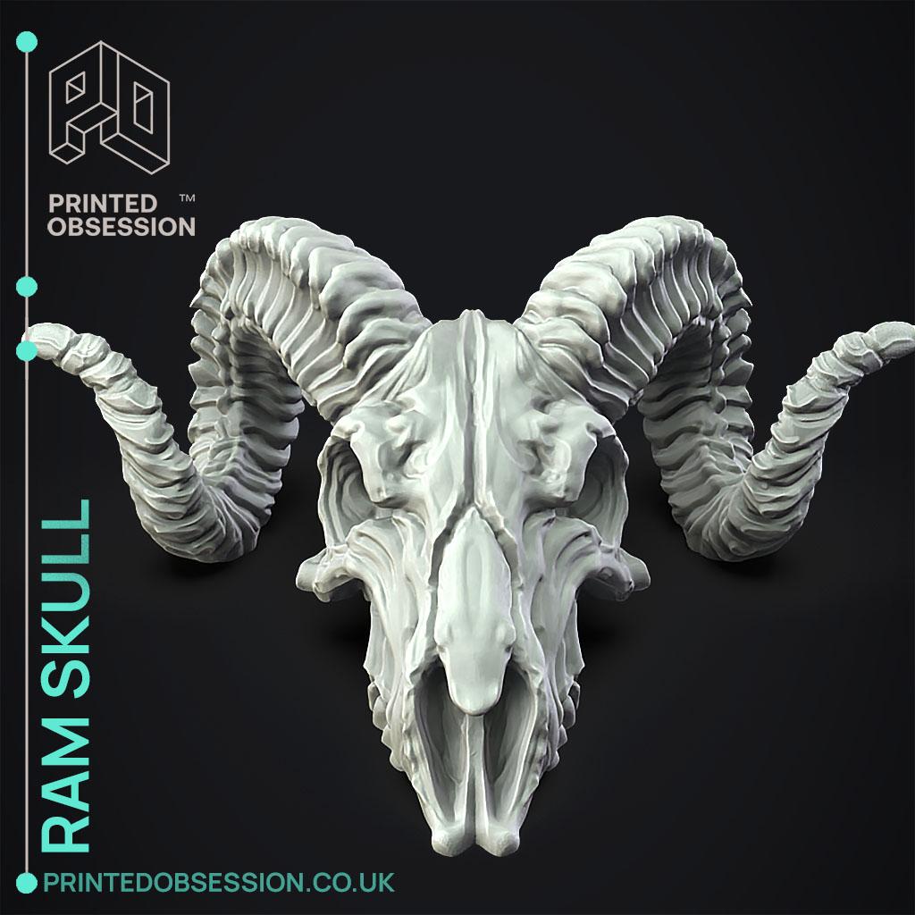 Ram Skull - Decoration 3d model