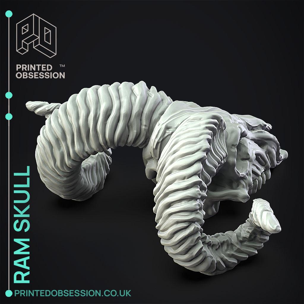 Ram Skull  3d model