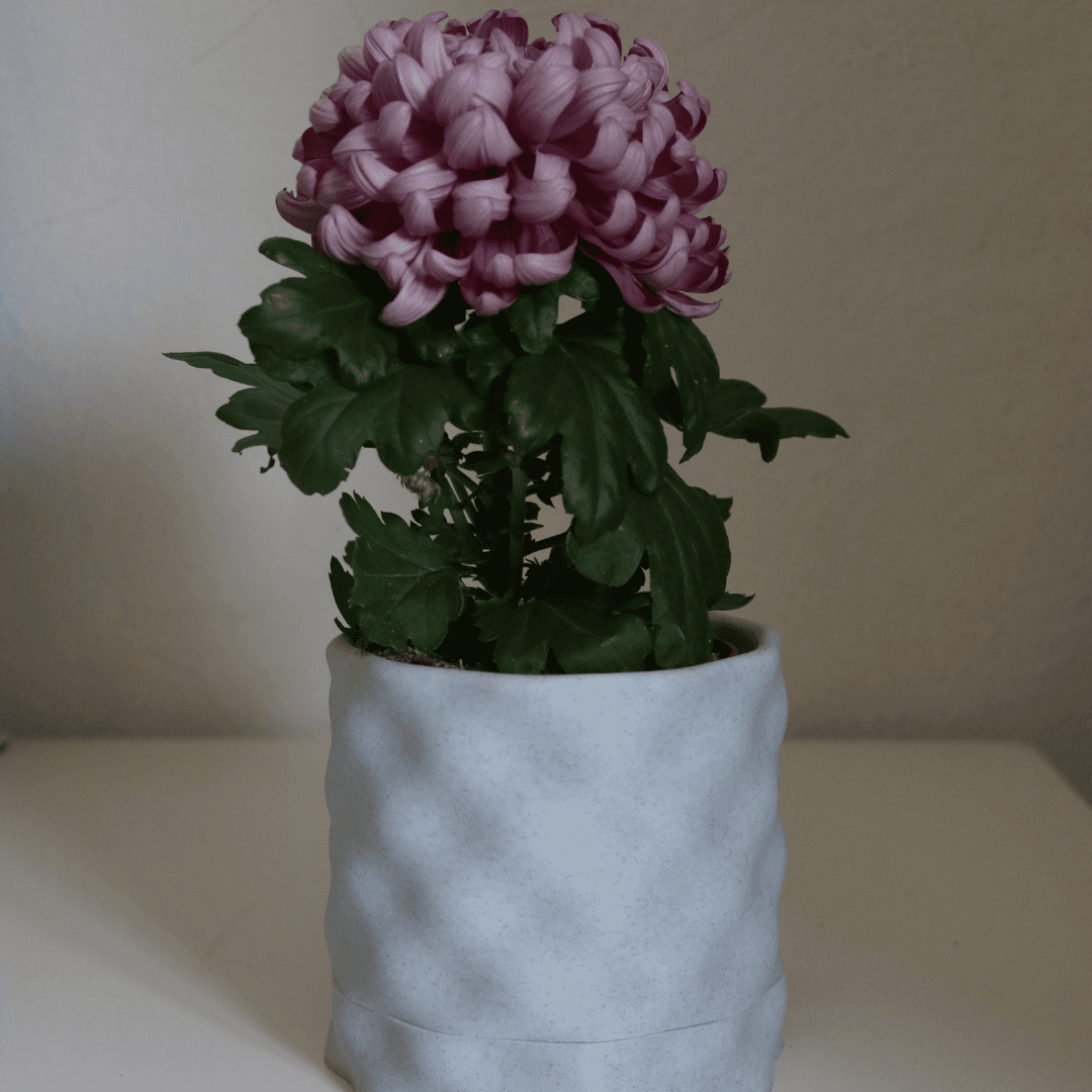 Wavy Planter / Vase 3d model
