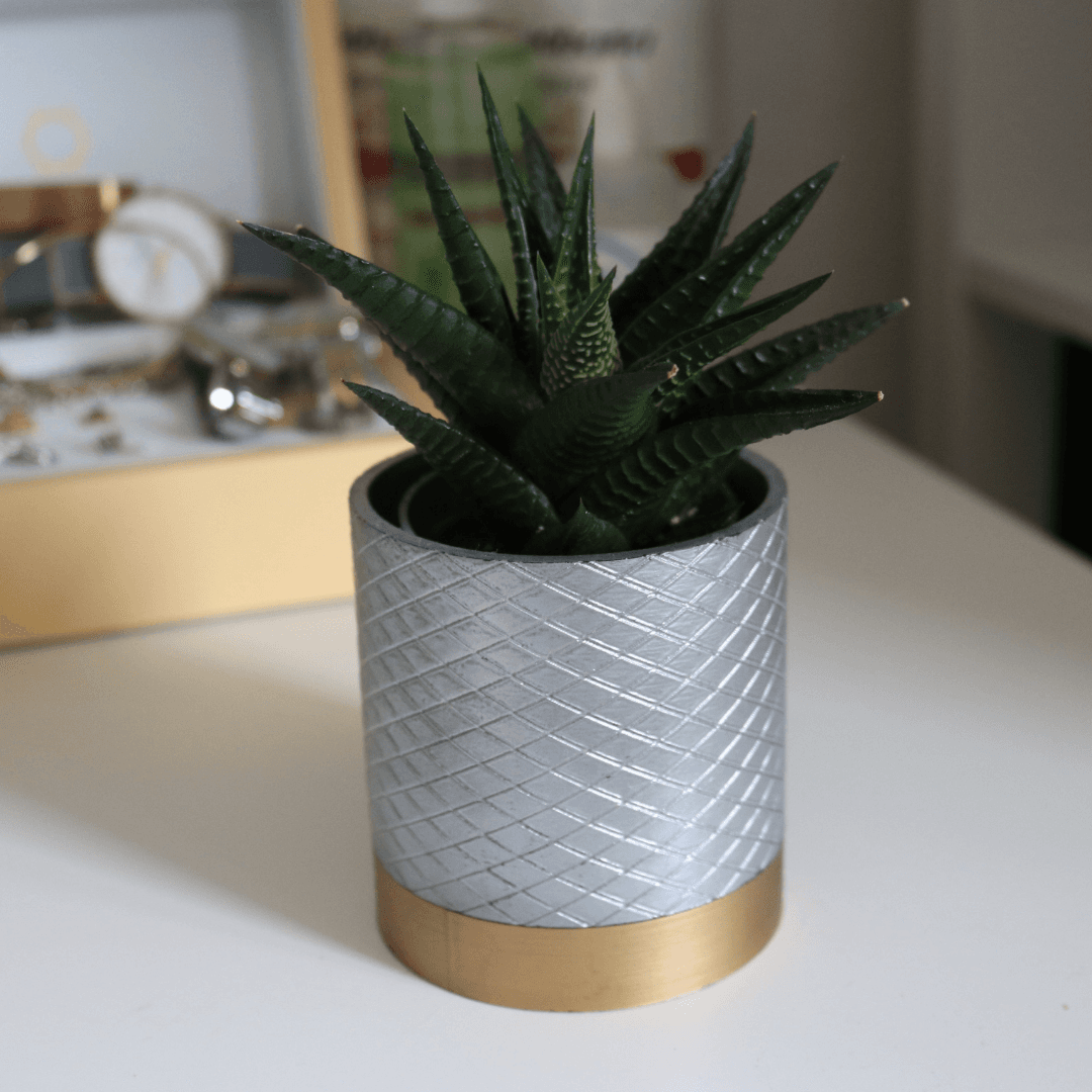 Cross Stich Vase / Planter 3d model