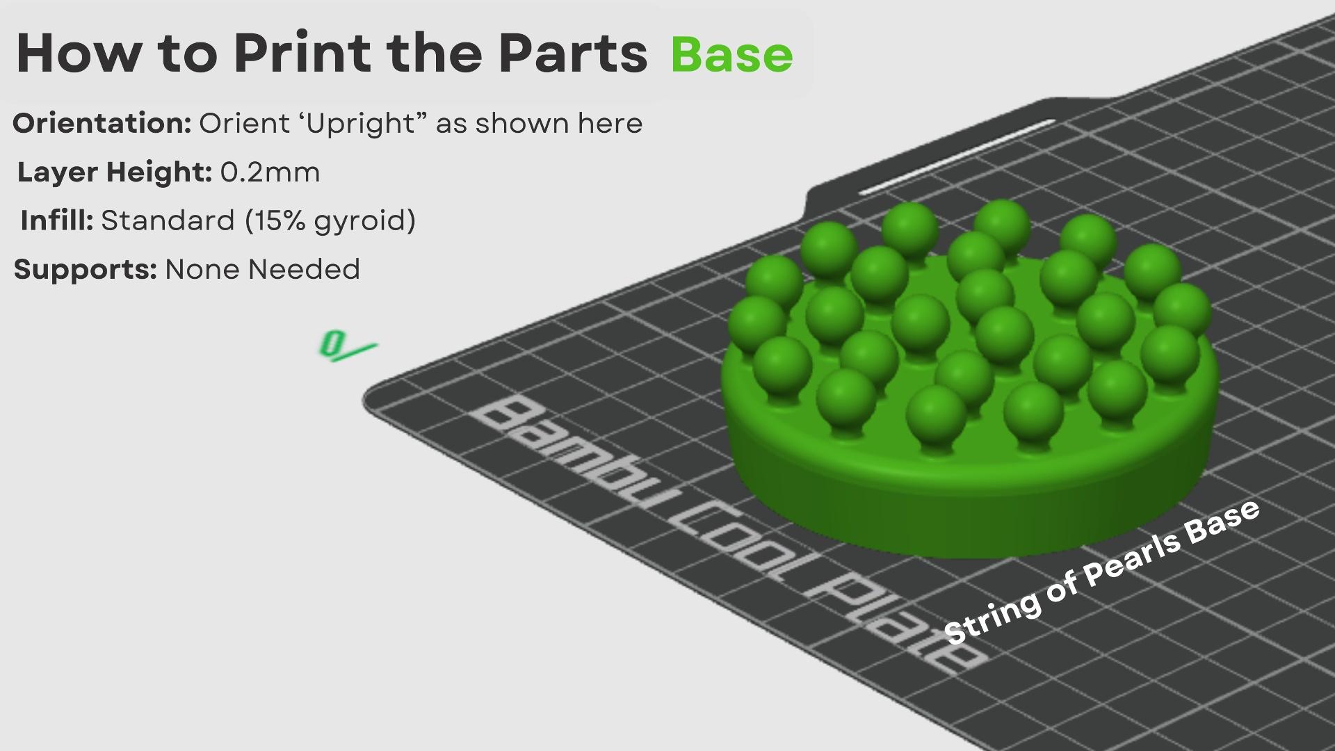 String of Pearls Articulating Plant 3d model