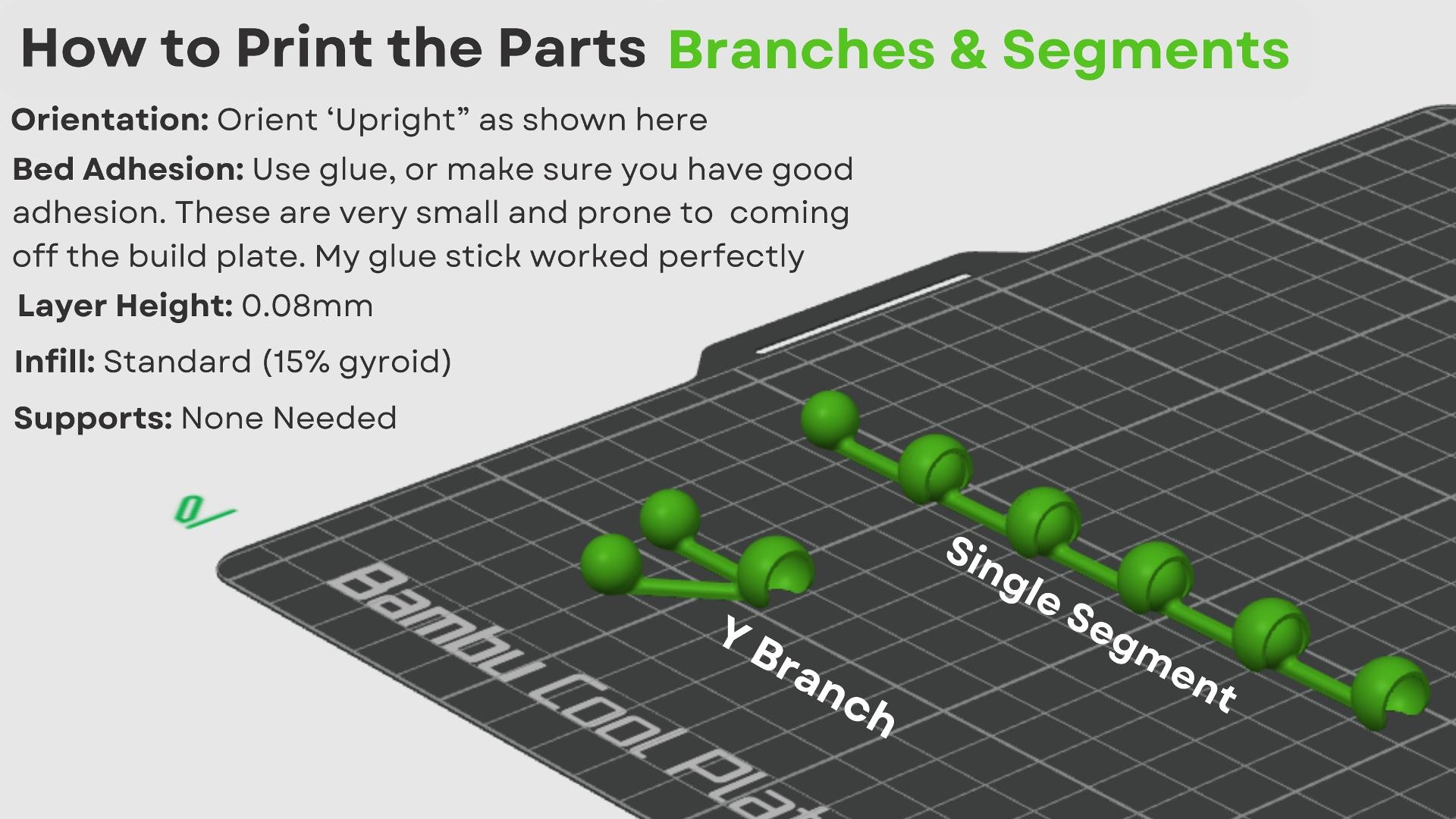 String of Pearls Articulating Plant 3d model