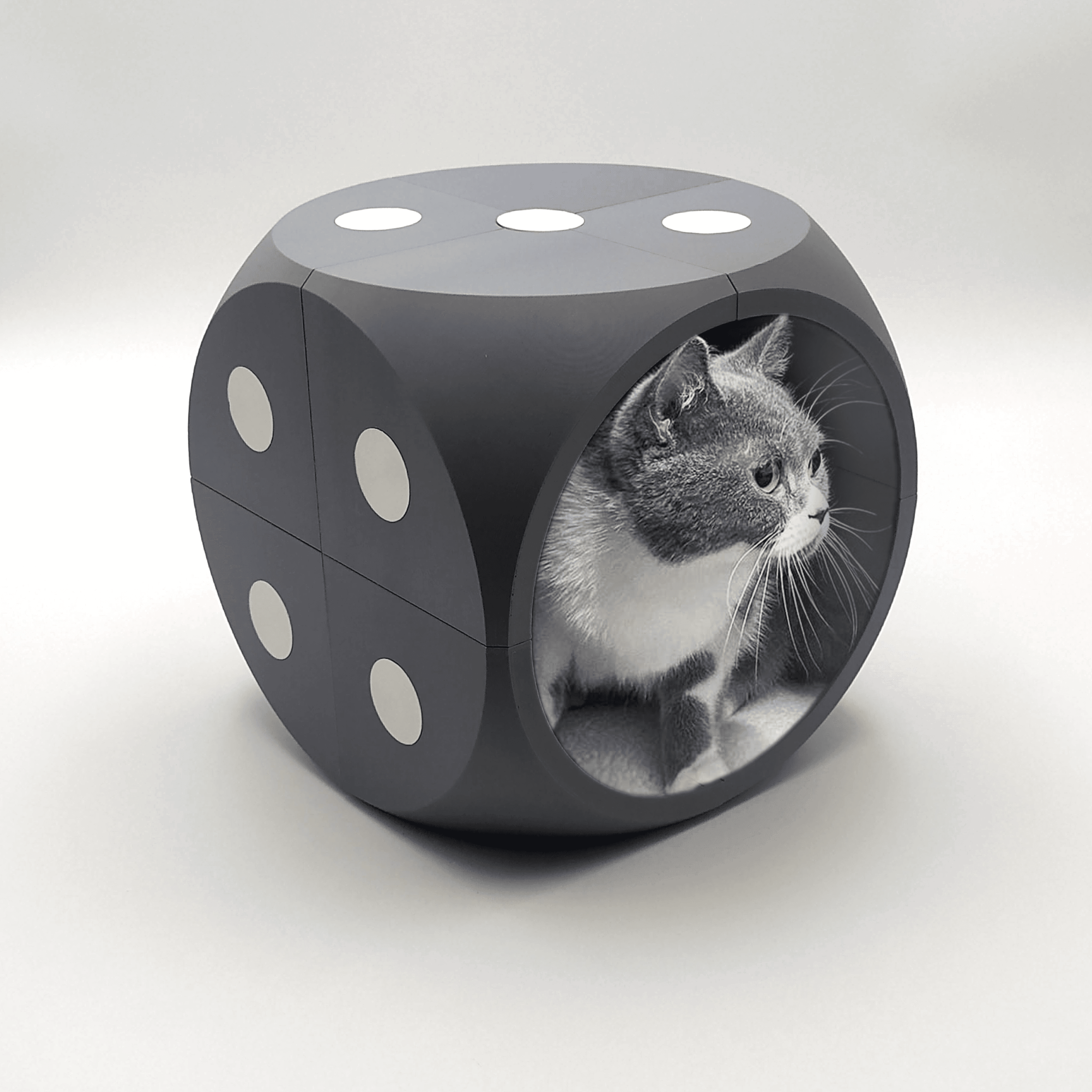 HOUSE FOR CAT DICE - Follow us: https://linktr.ee/catalpine 3d model