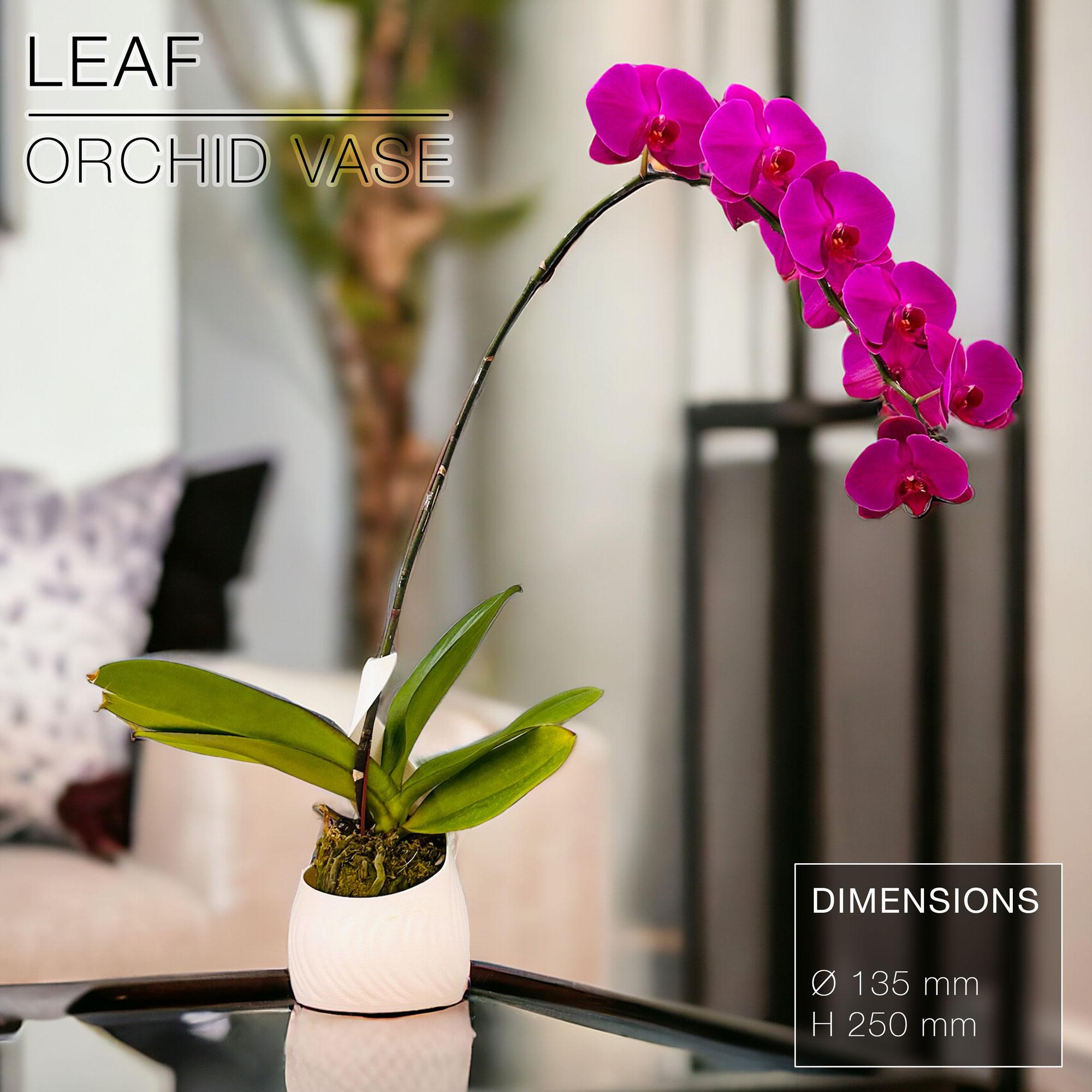 LEAF  |  Orchid Vase Planter 3d model