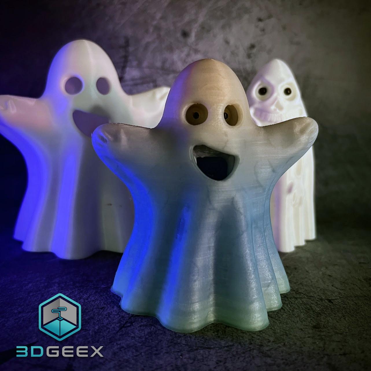 Ghost in Disguise 3d model