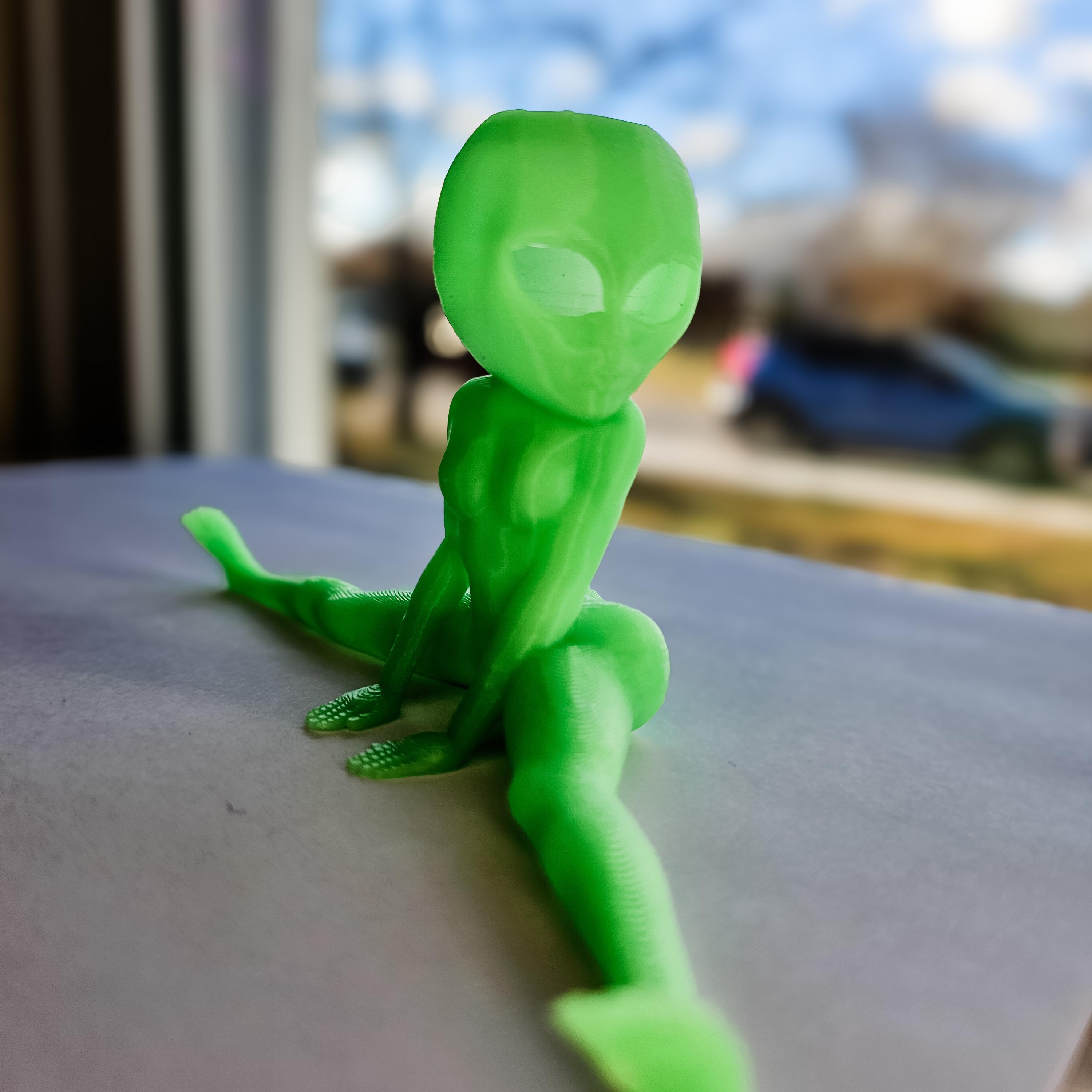 Sexy Alien Air Plant Holder 3d model