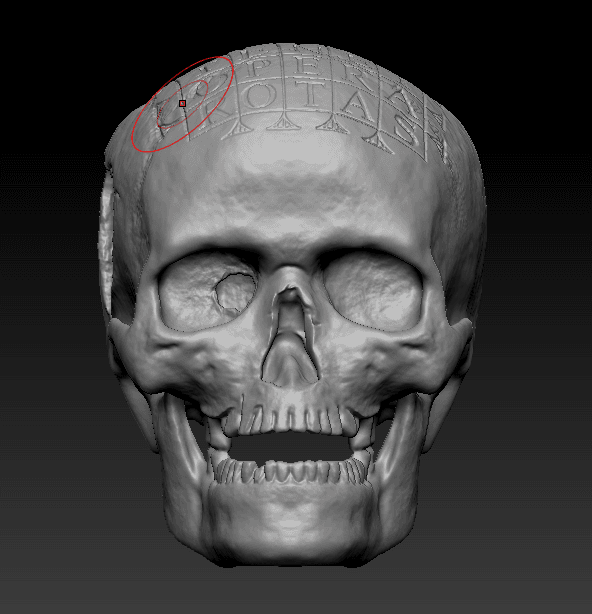 German Oath Skull 3d model