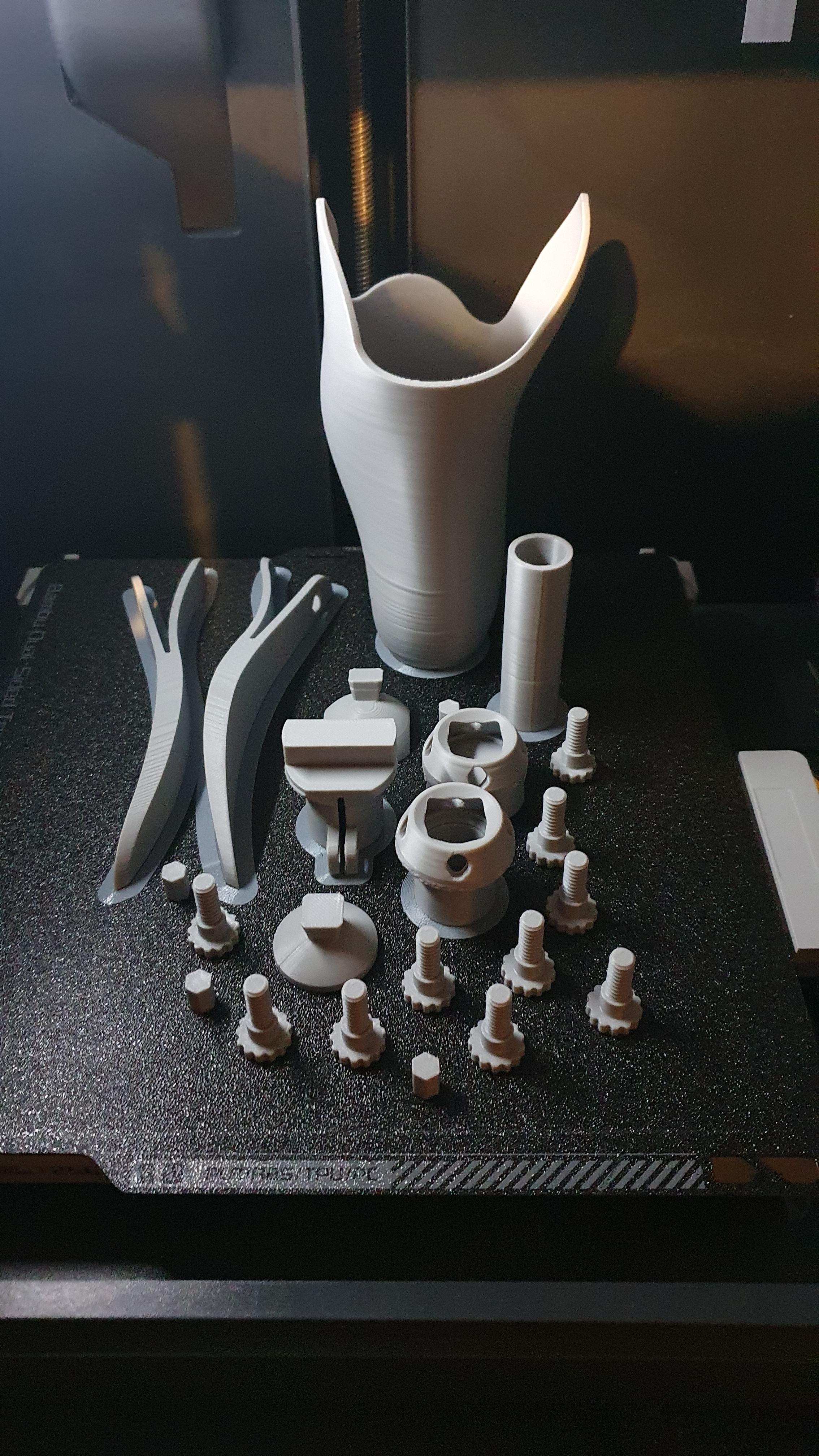 3D printed prostheses for educational purpose 3d model