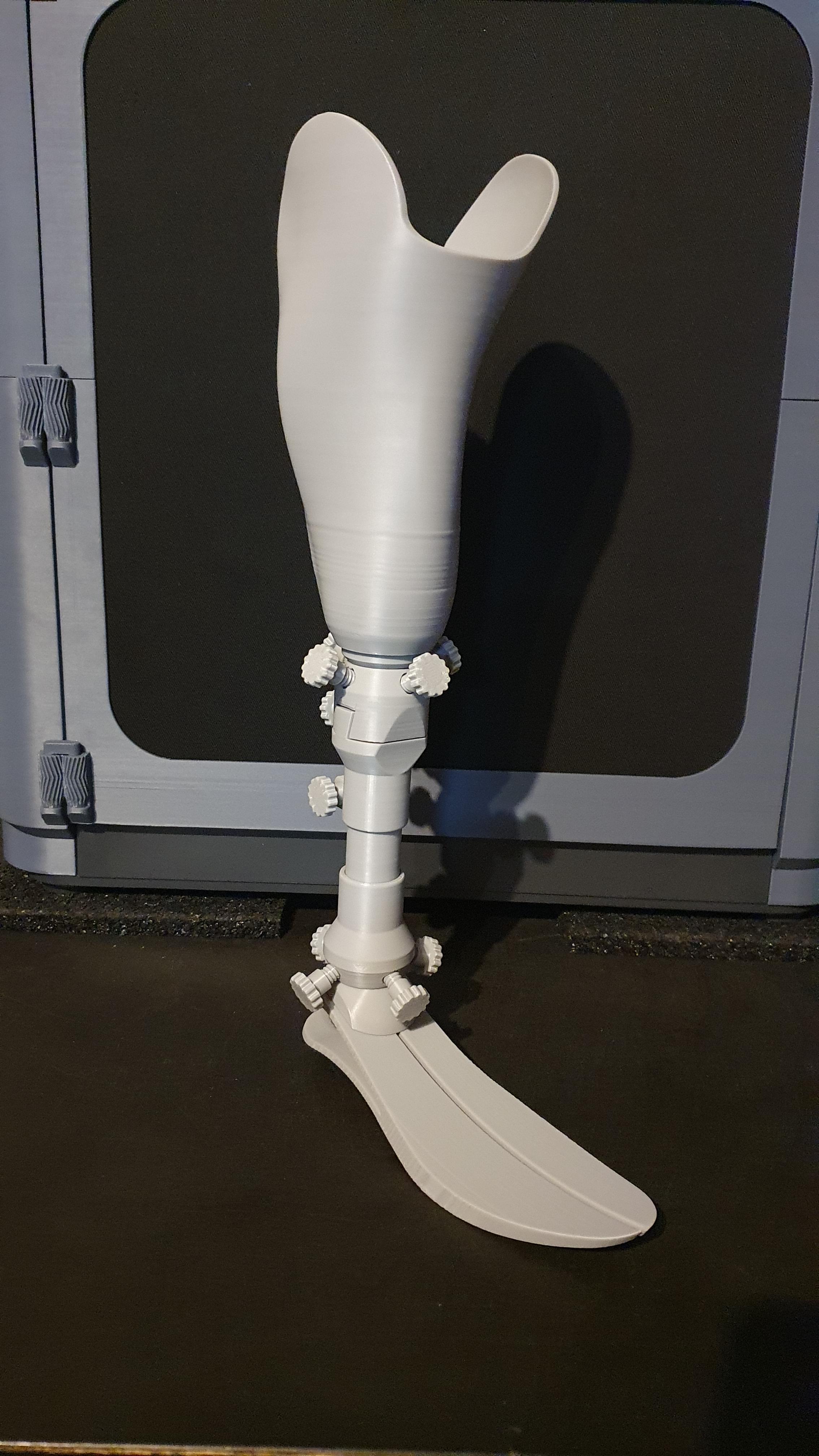 3D printed prostheses for educational purpose 3d model