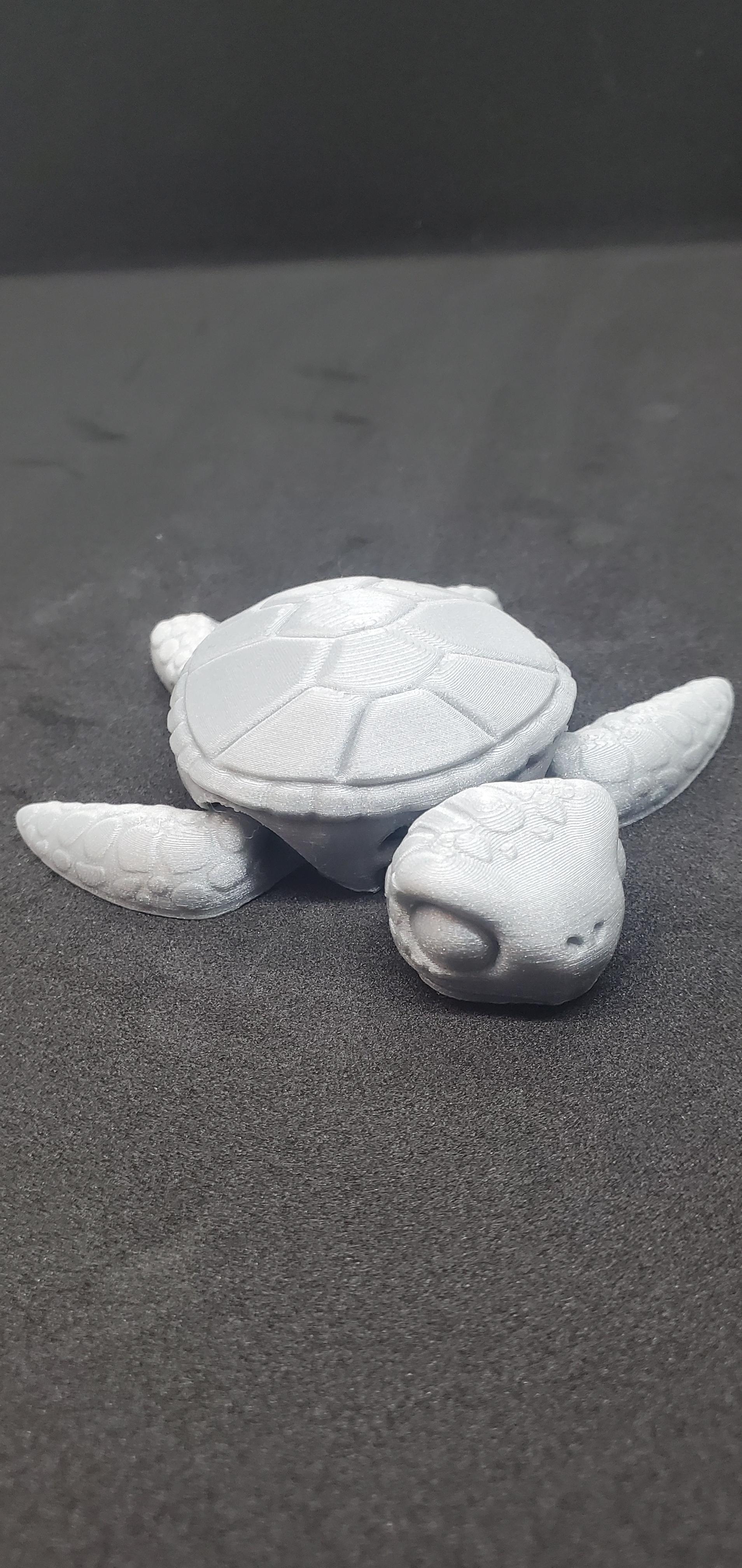 3DL Sea Turtle 3d model