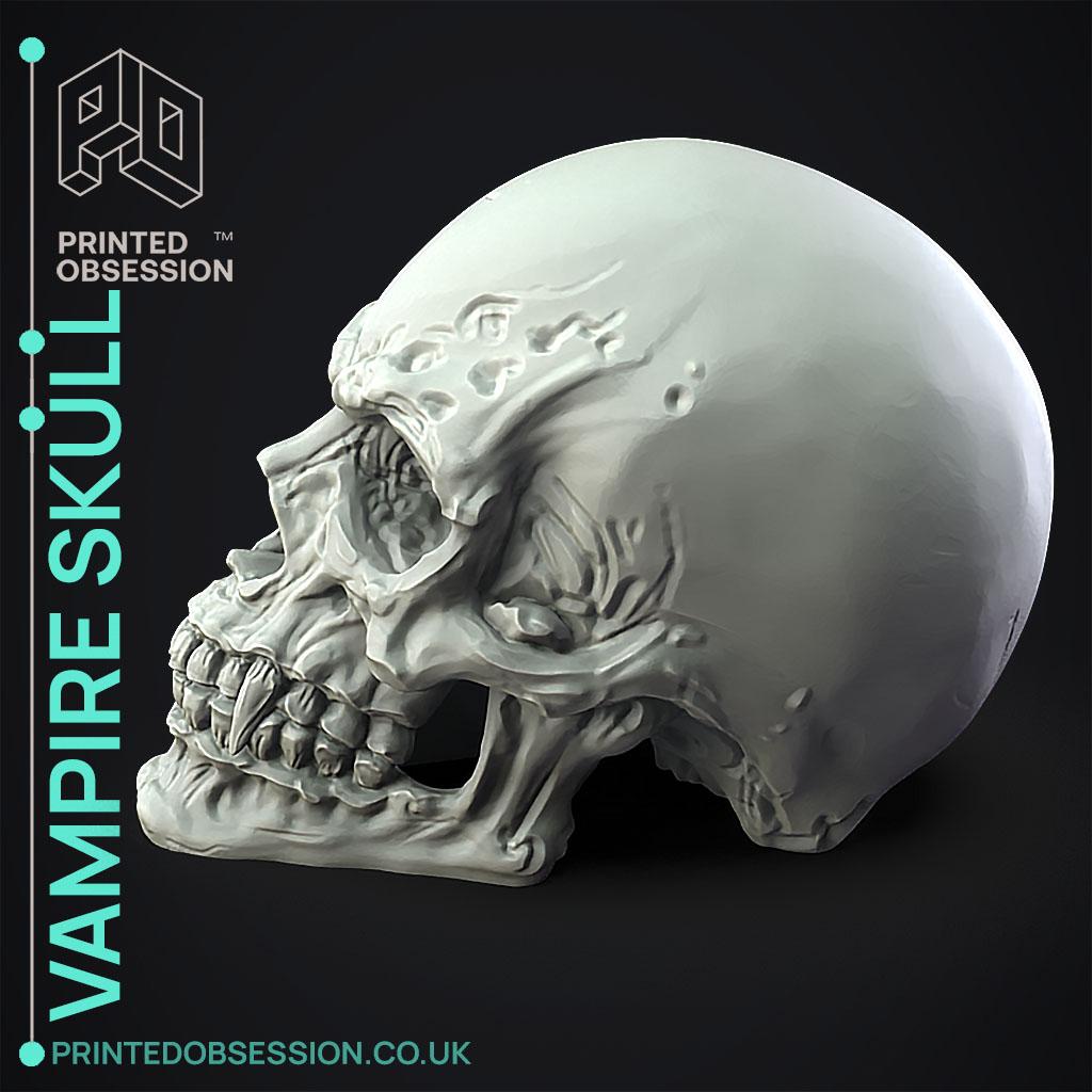 Vampire Skull  3d model