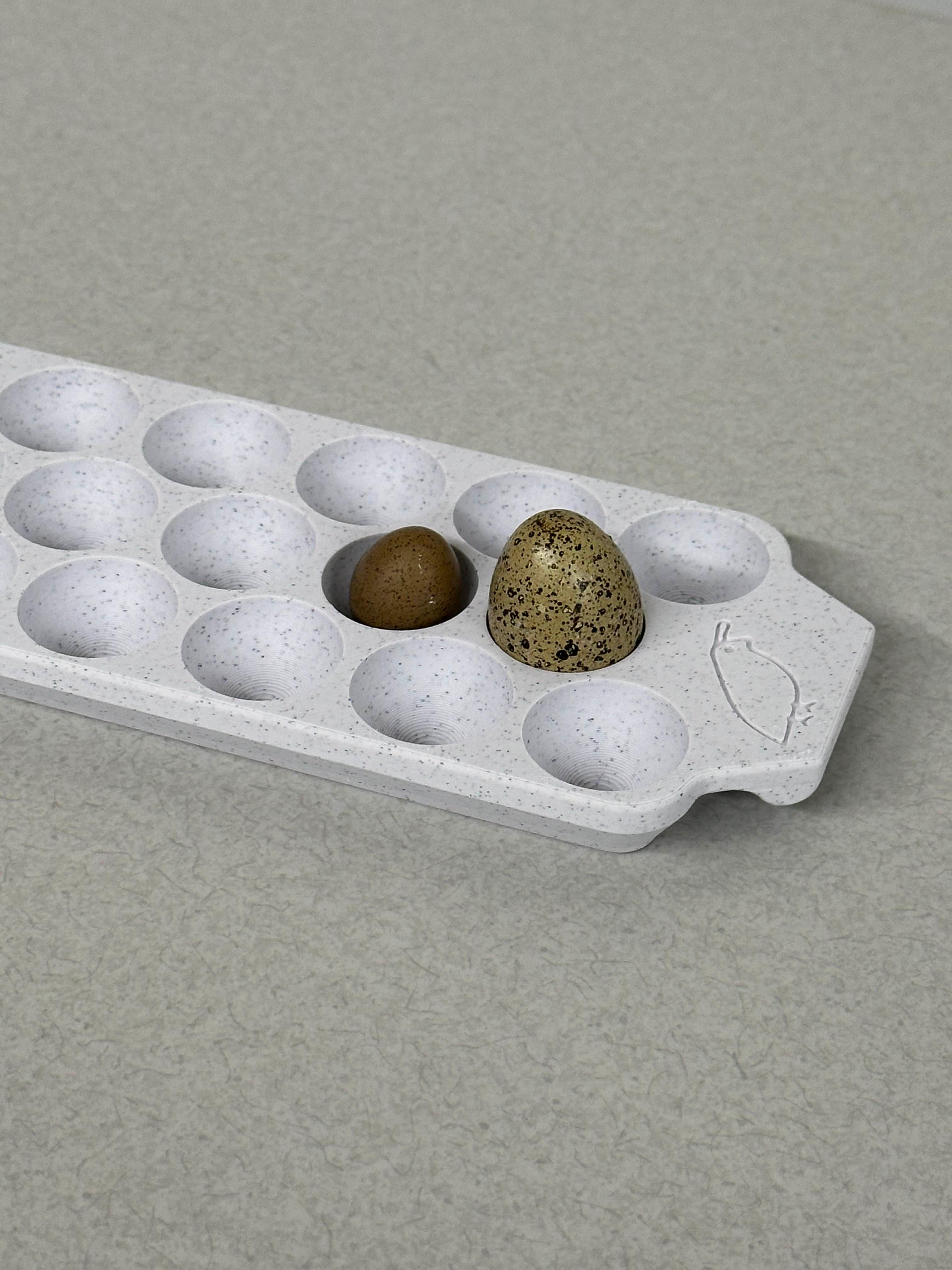 17 Quail Egg Tray with handles 3d model