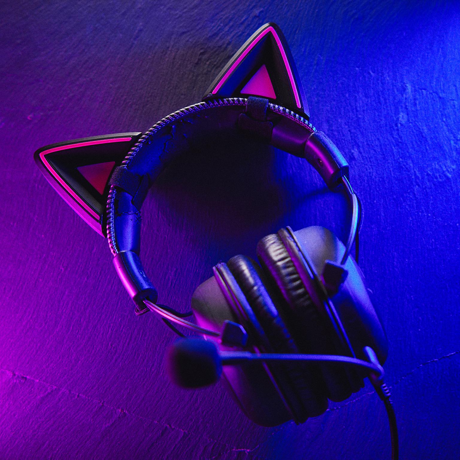 Cute Cat Ears for Headphones 3d model