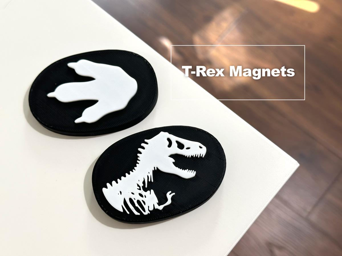 T-Rex Magnets  3d model