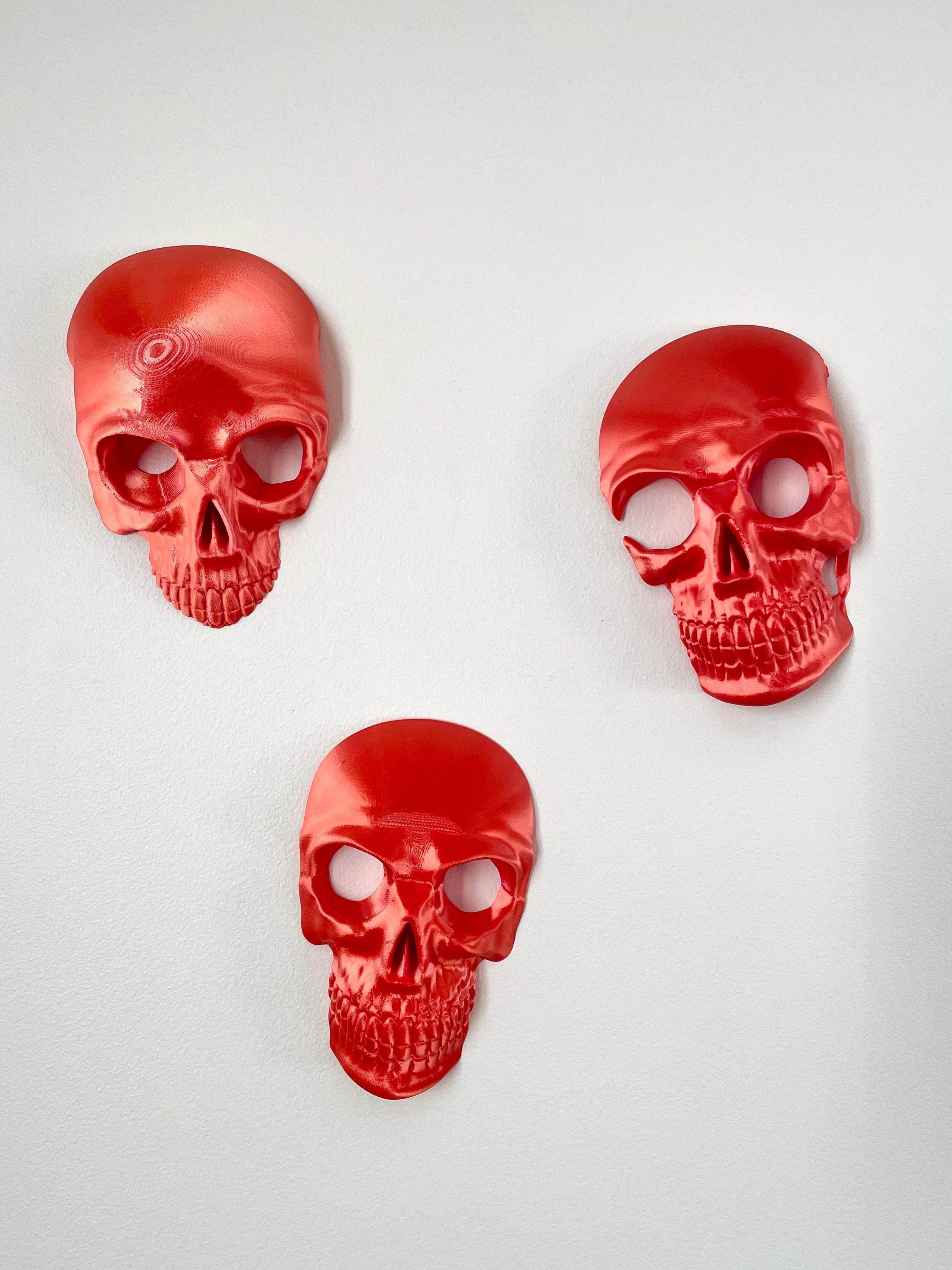 Skulls Wall Decor 3d model