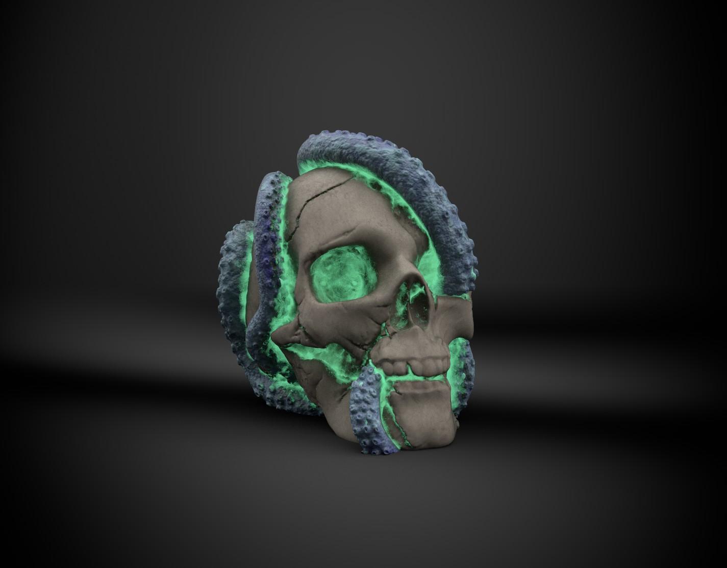 Tentacle Skull 3d model