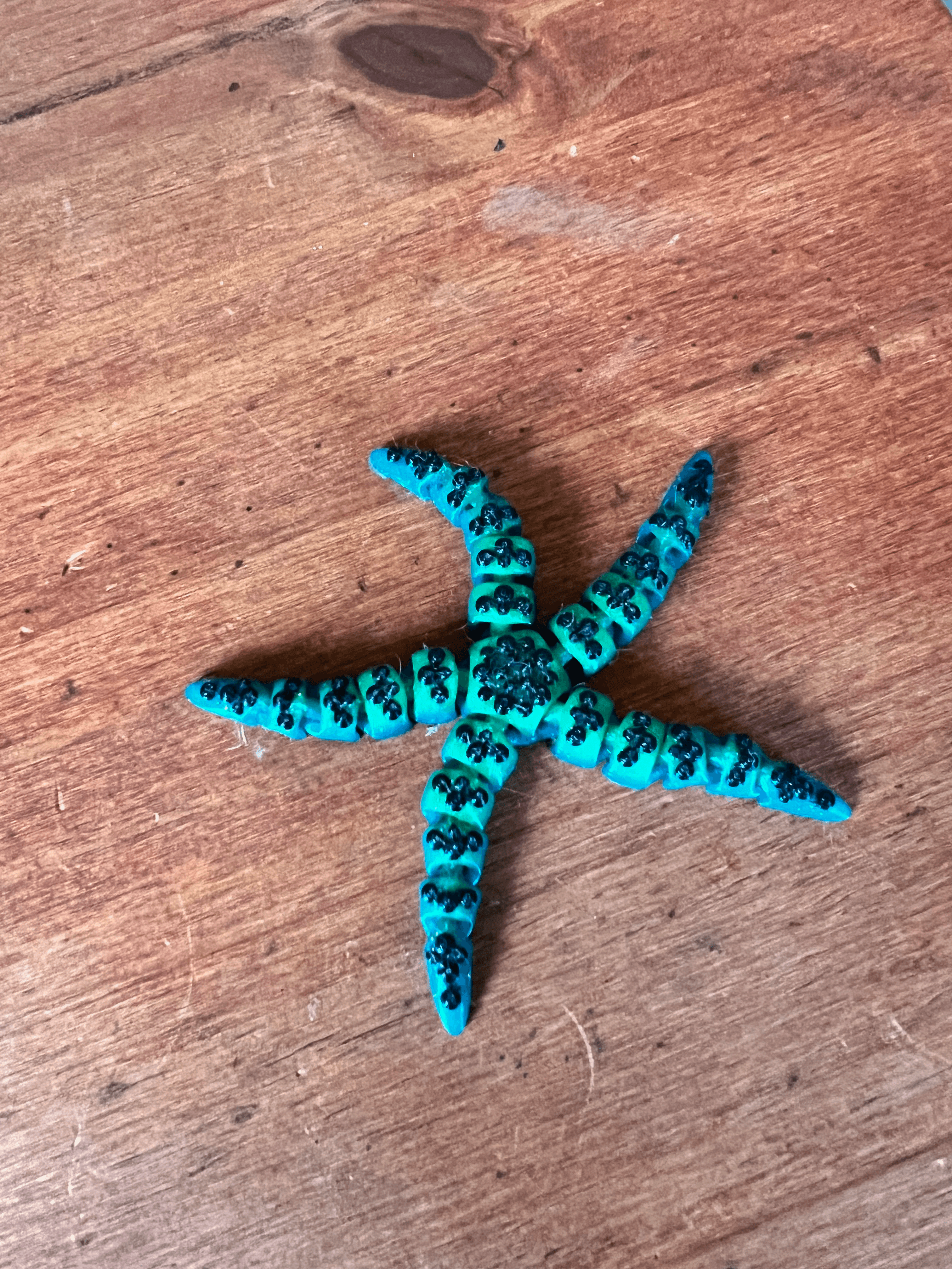 Tiny Starfish 3d model