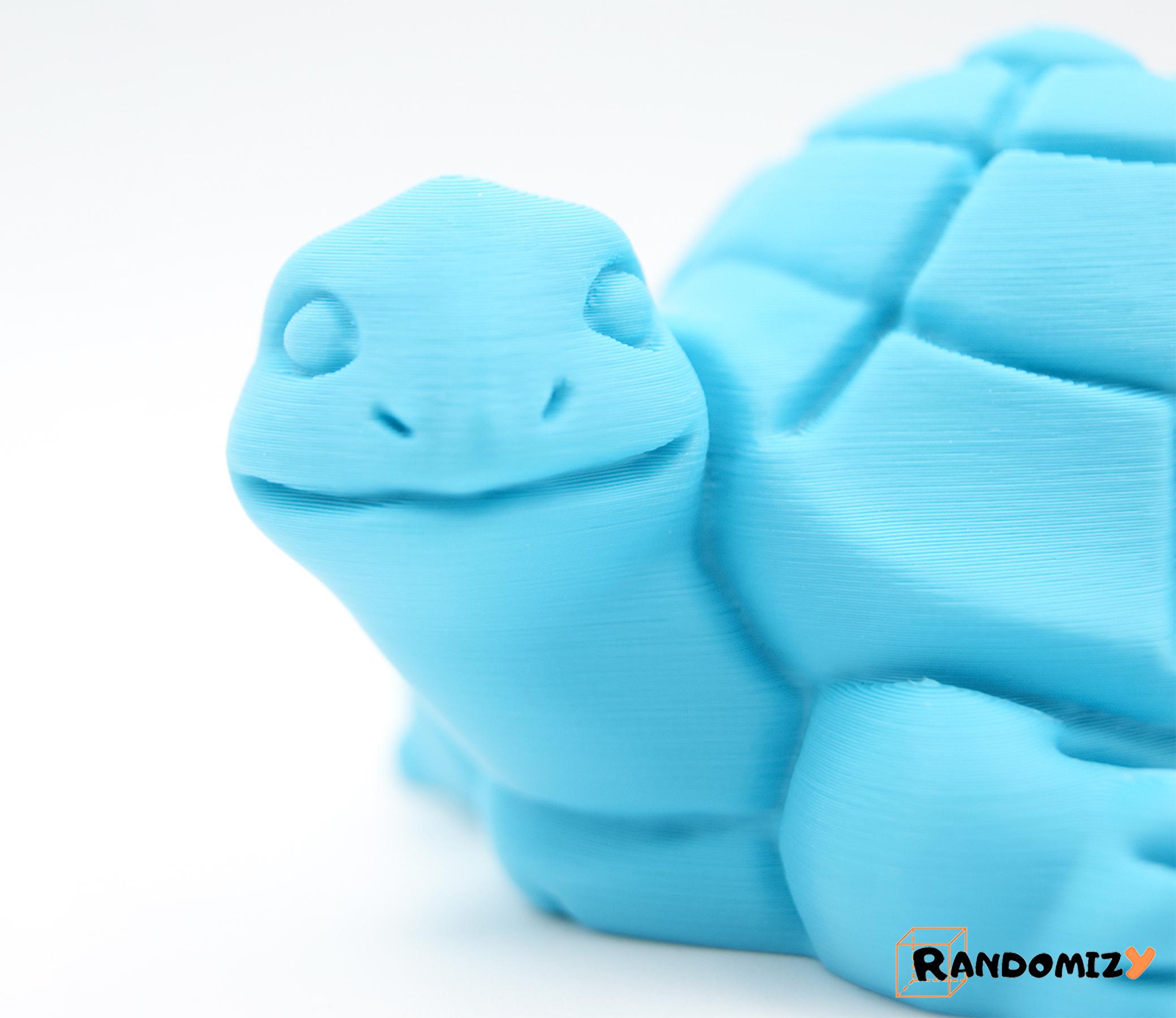 Turtle 3d model
