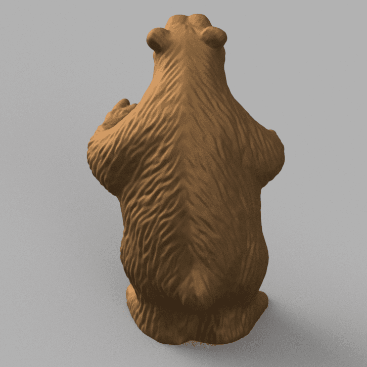 Brown Bear 3d model