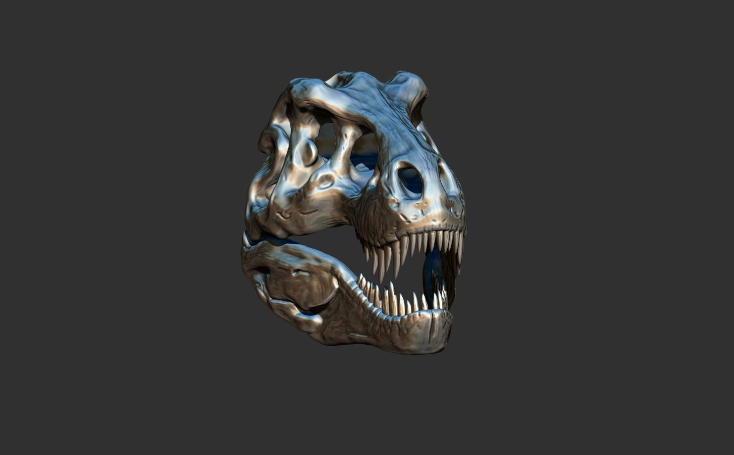 T Rex Skull  3d model