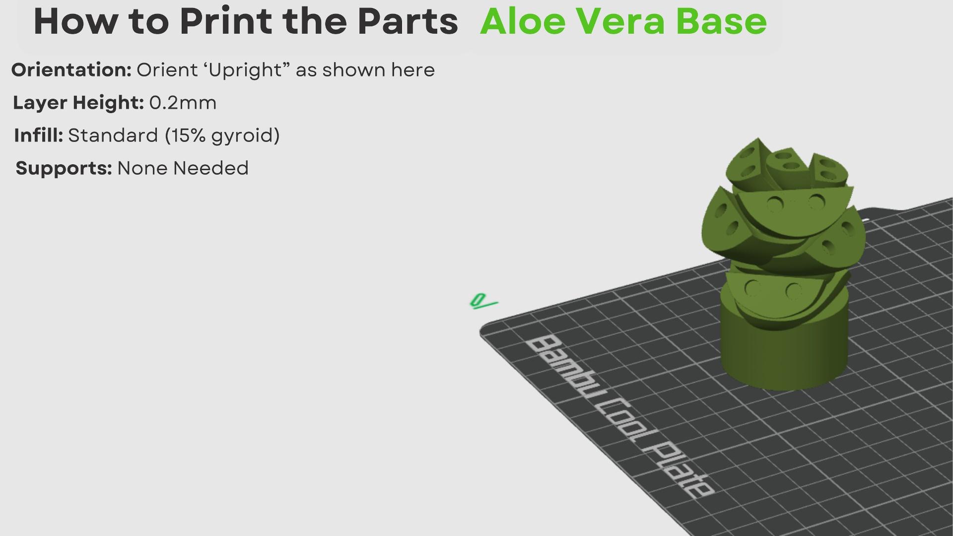 Aloe Vera Pen Plant 3d model