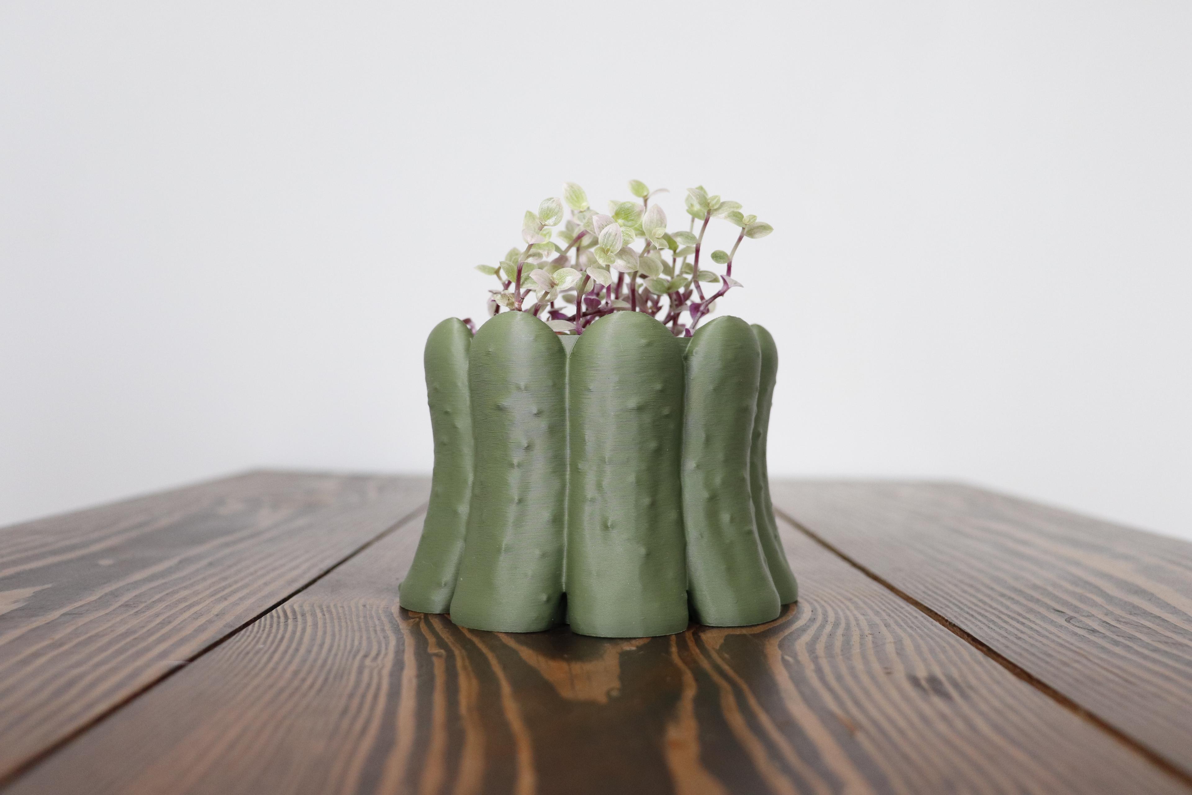 Pickle Jar Planter 3d model