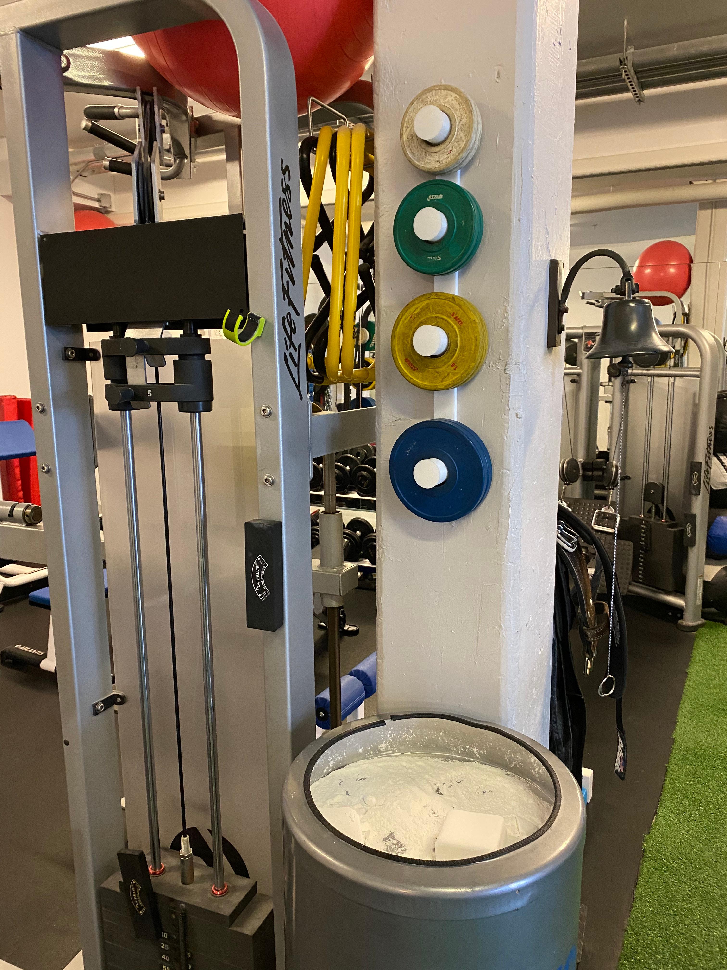 Wall mounted Change plate storage for the homegym 3d model