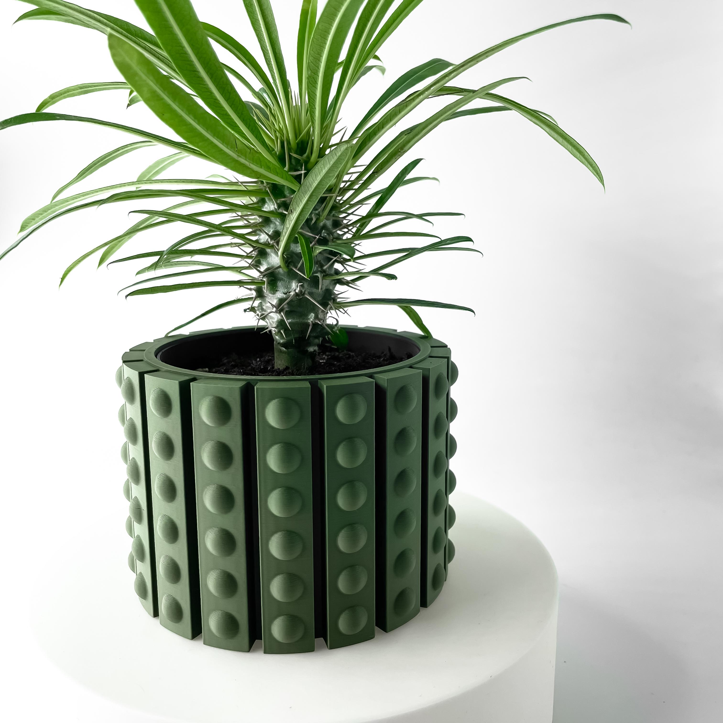 The Belio Planter Pot with Drainage: Tray & Stand Included | Modern and Unique Home Decor for Plants 3d model