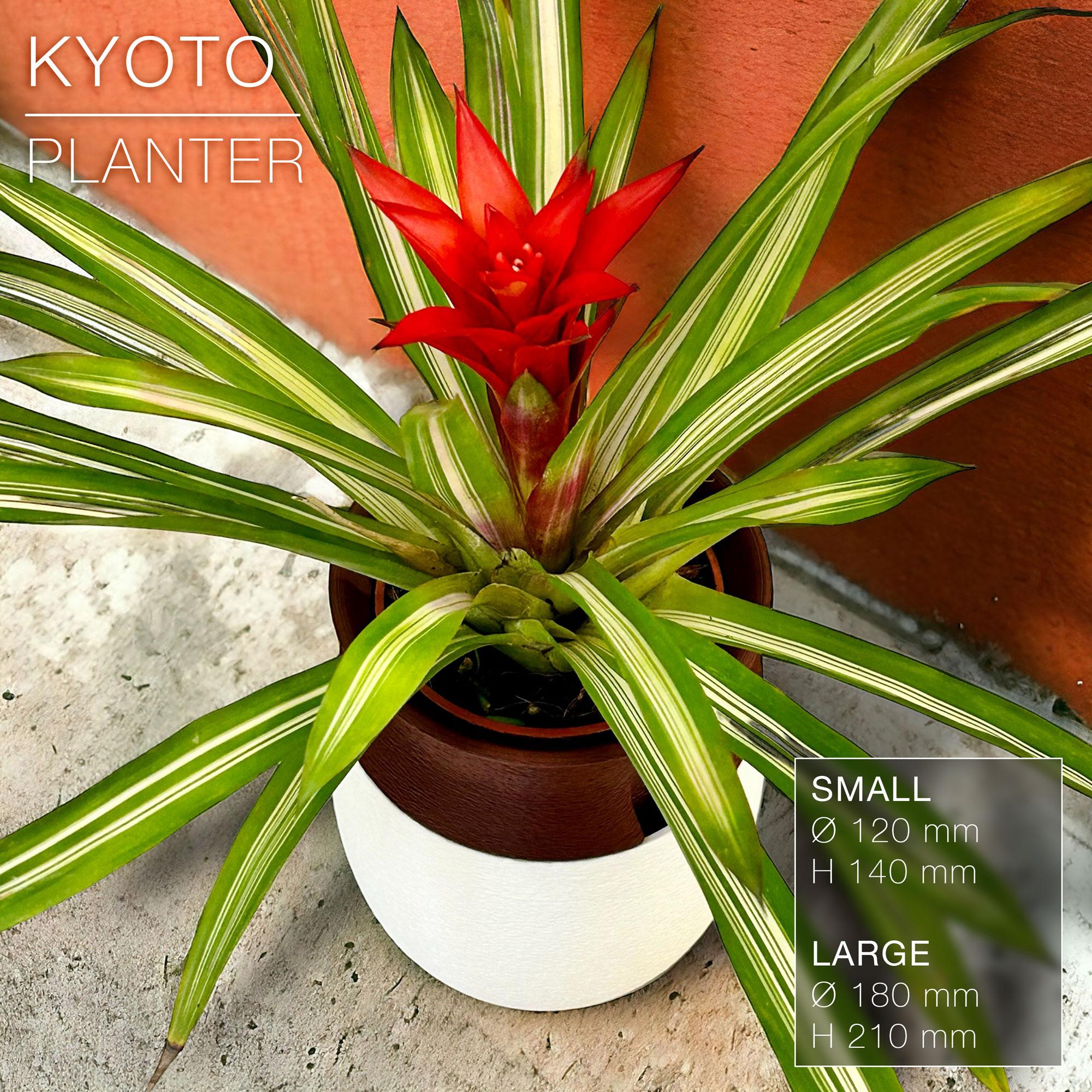 KYOTO  |  Self-Watering Planter 3d model