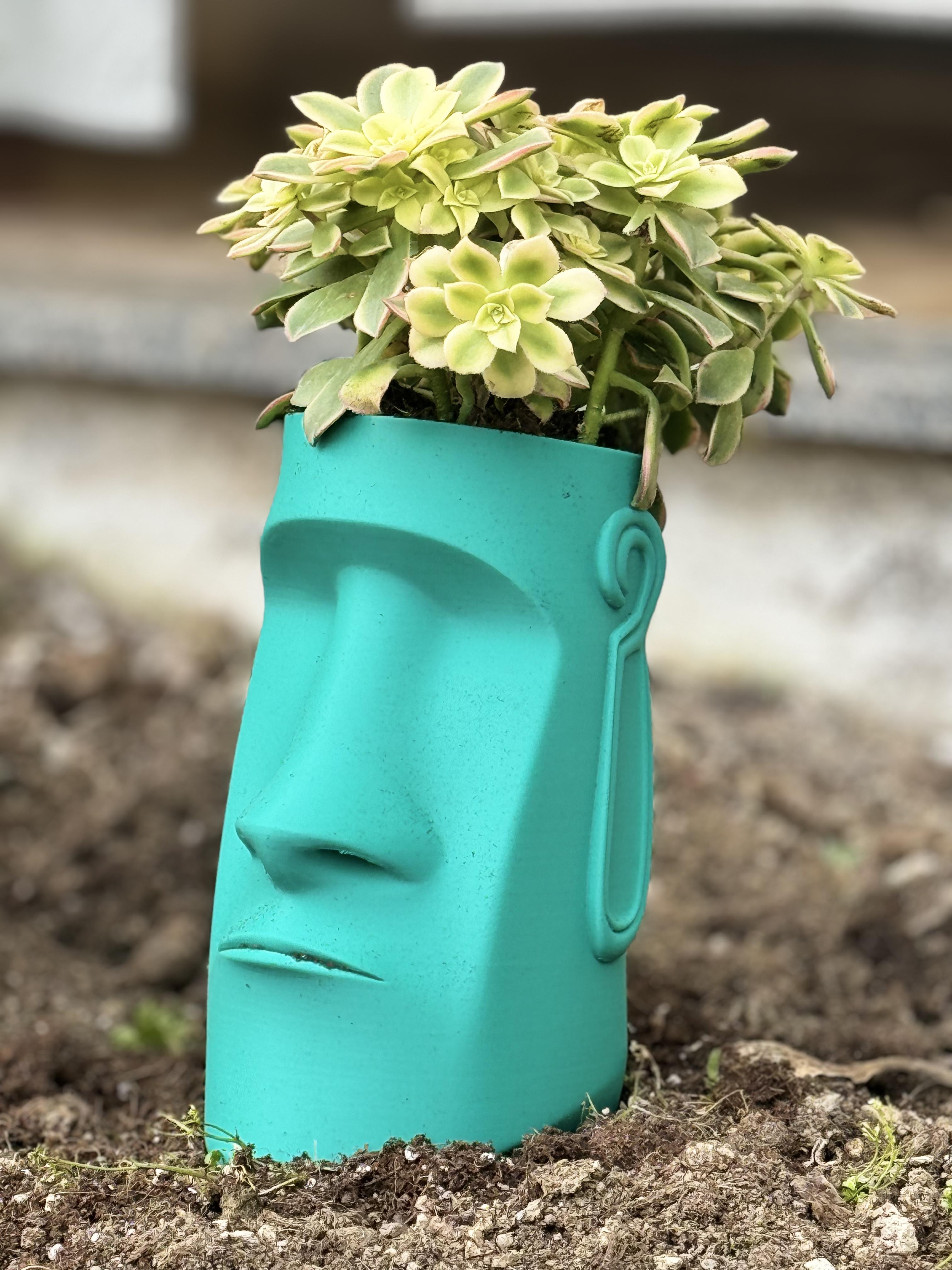 Moai plant pots 3d model