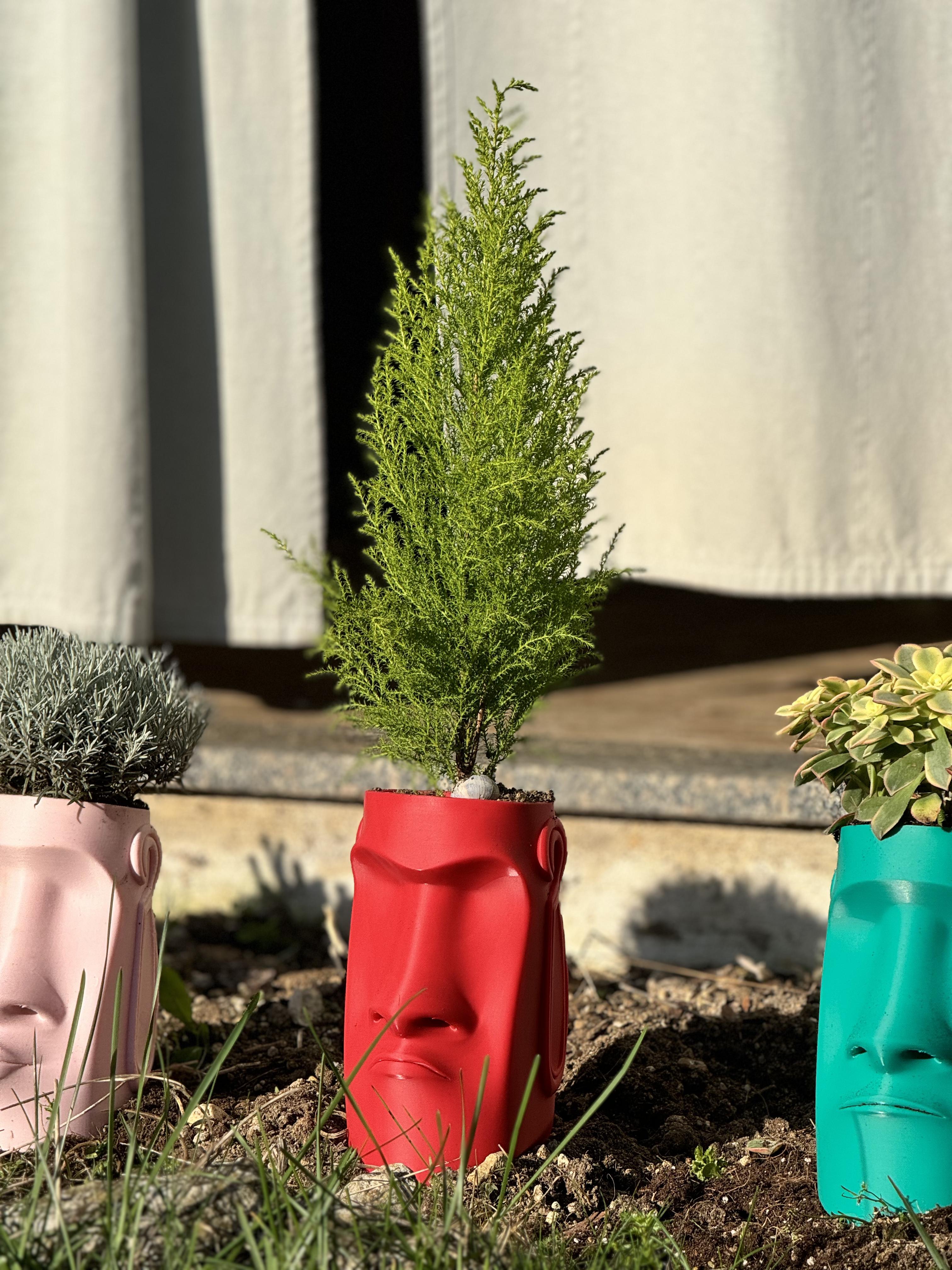 Moai plant pots 3d model