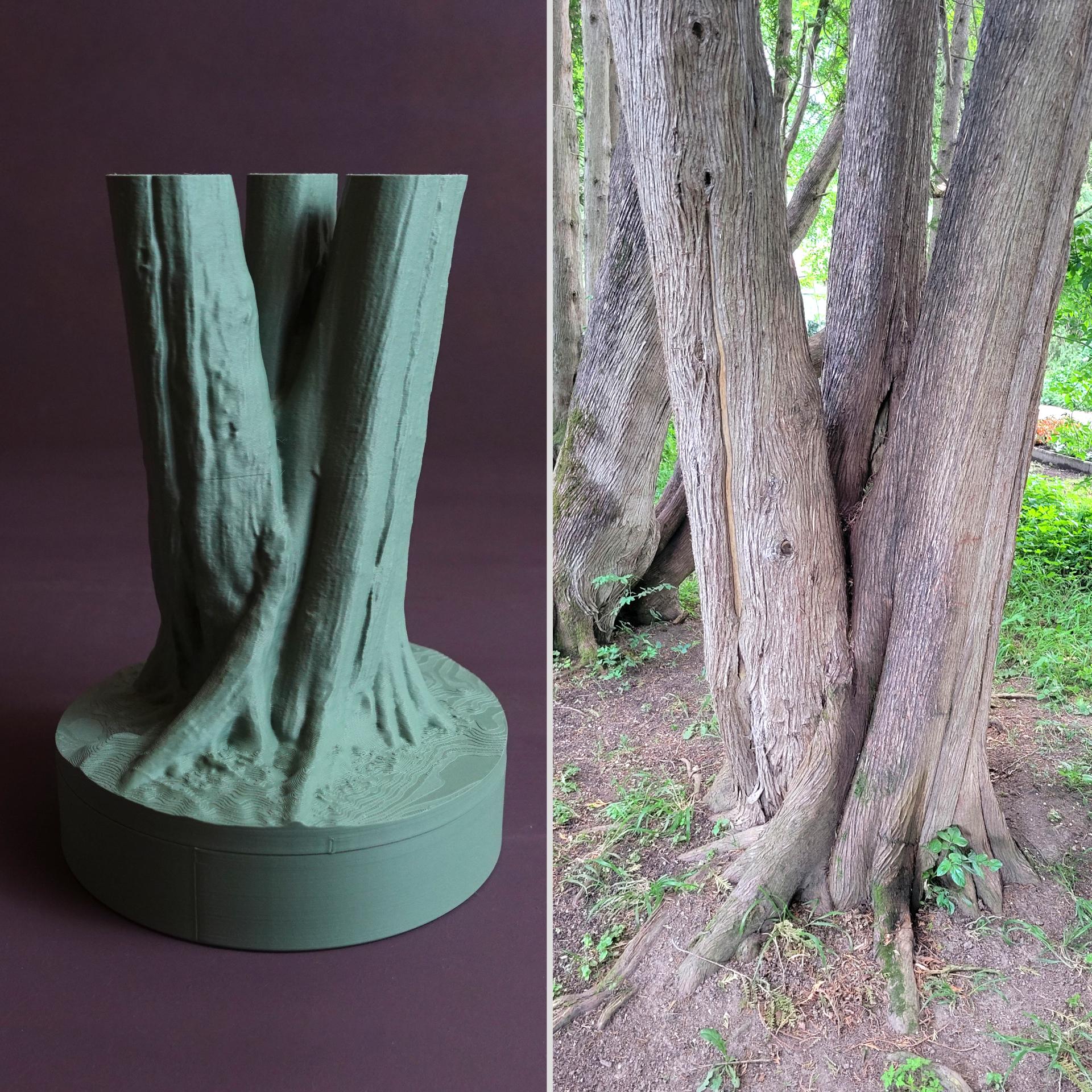 Pencil holder / desk organizer “Occidentalis Tree” 3d model